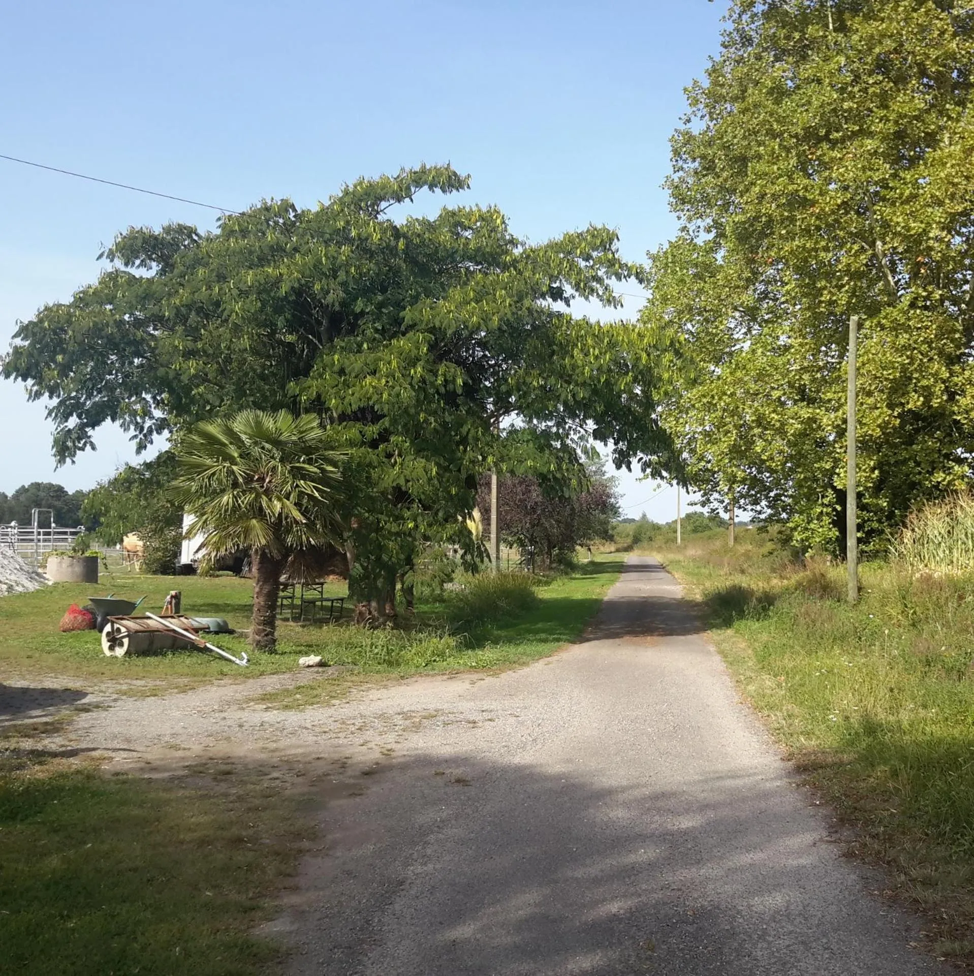 Property building in Ranch Bignaou