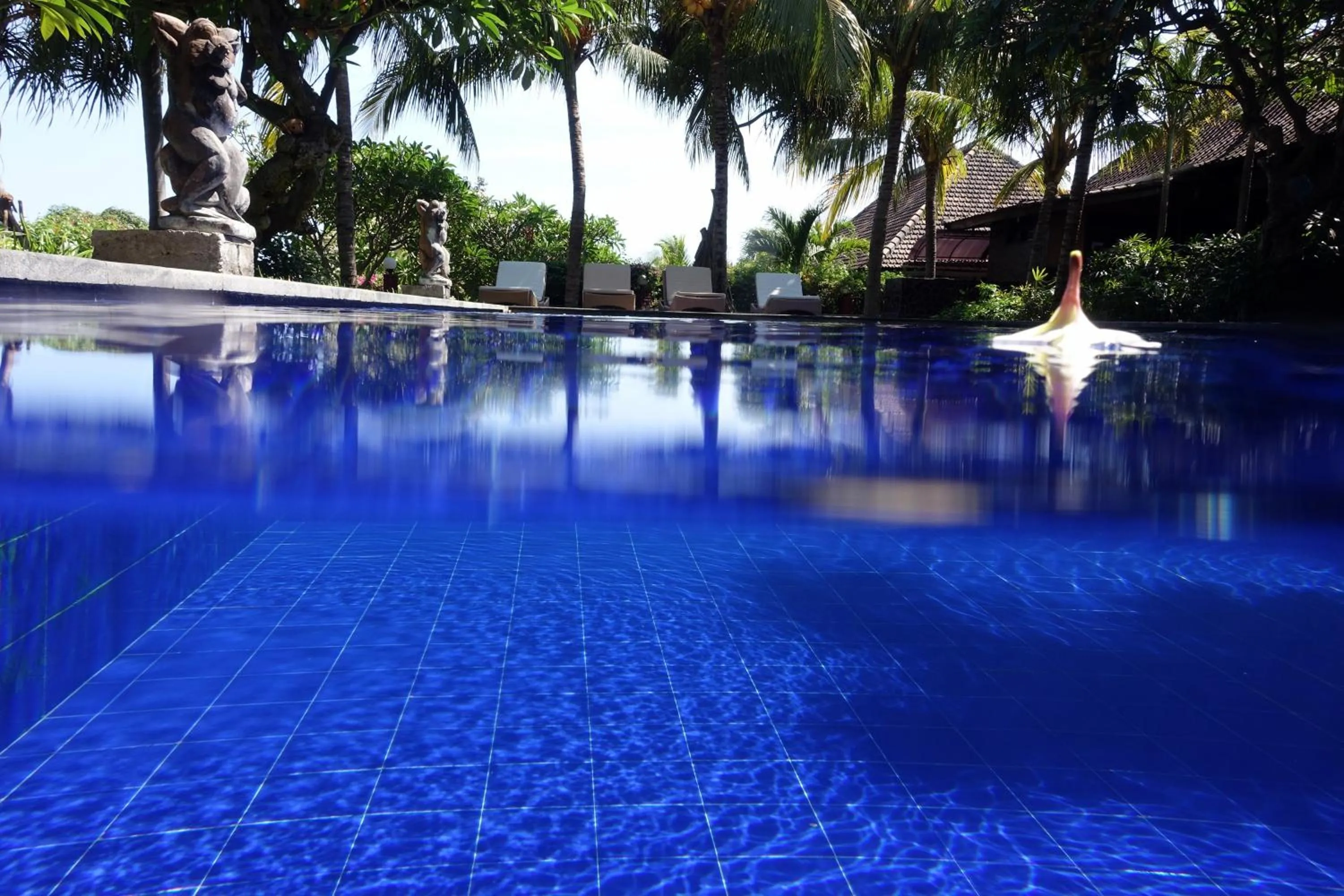 Day in Liberty Dive Resort