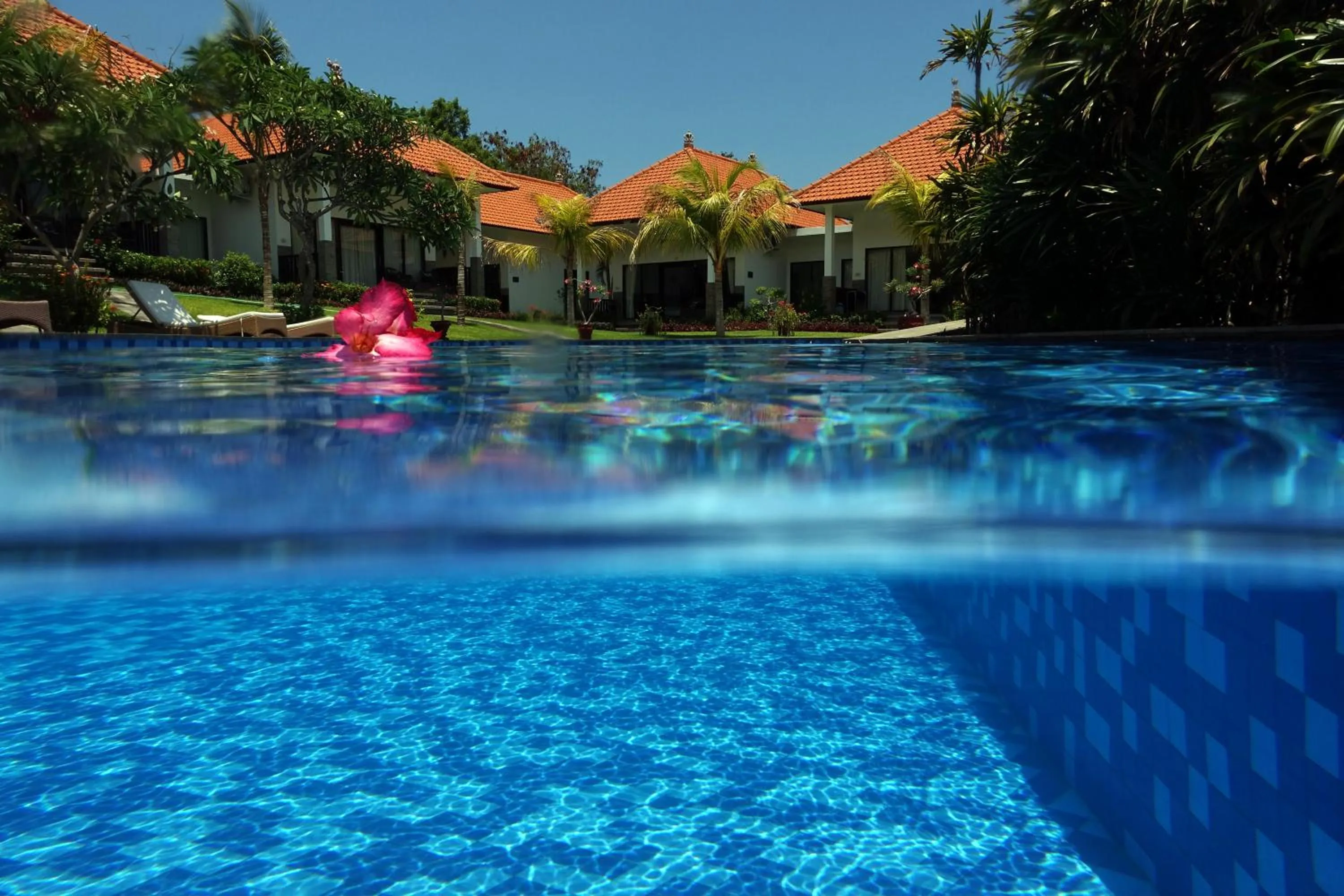 Day in Liberty Dive Resort