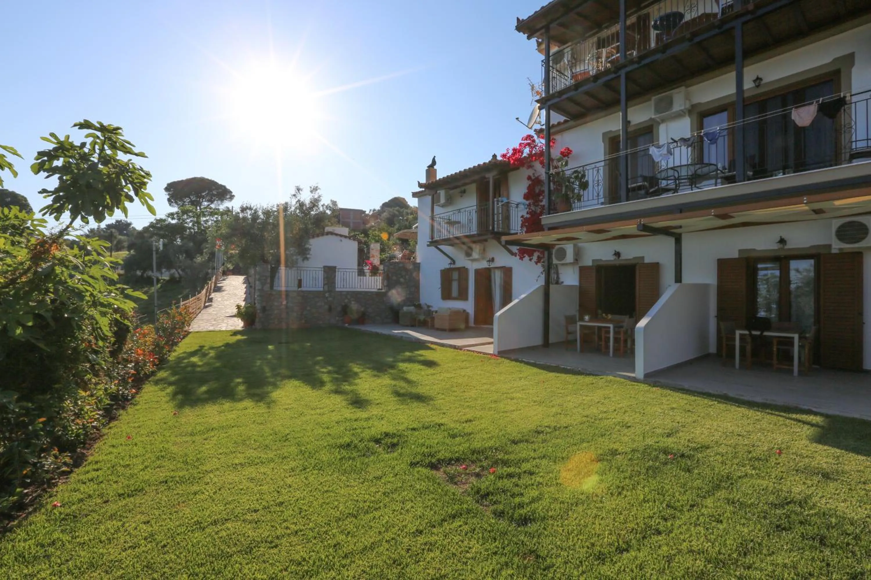 Garden view in Skiathos Argento