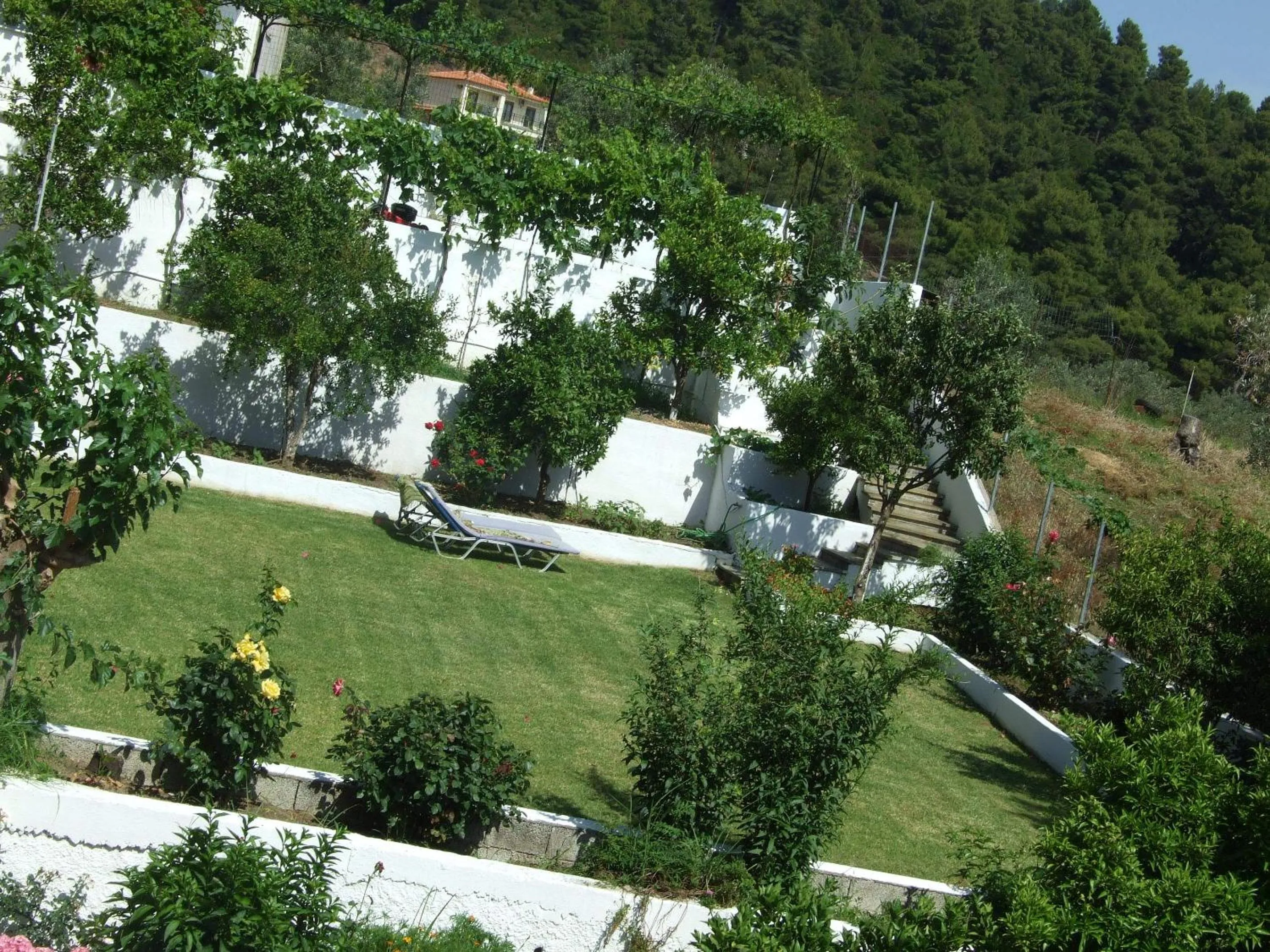 Garden in Skiathos Argento
