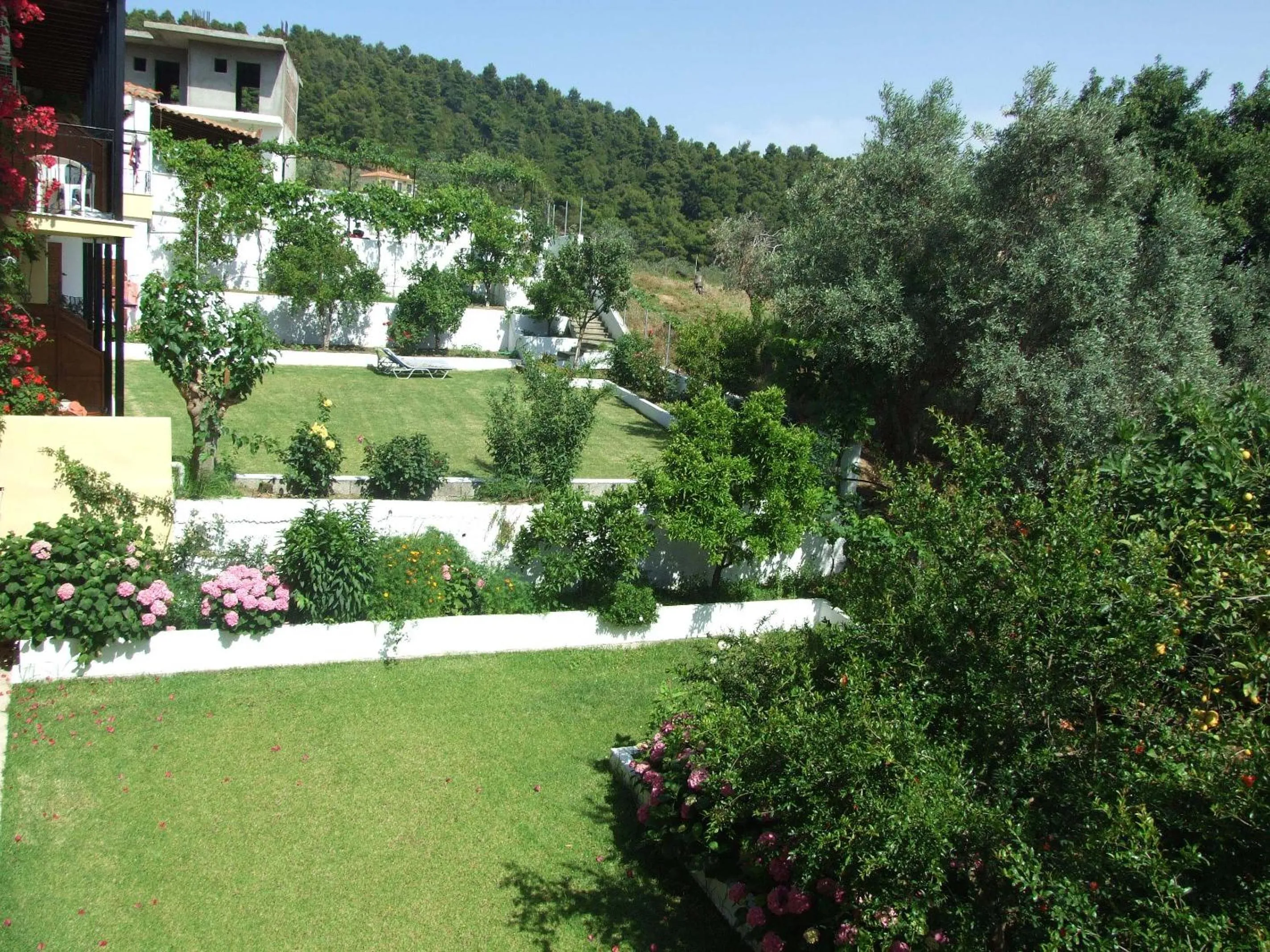 Garden in Skiathos Argento
