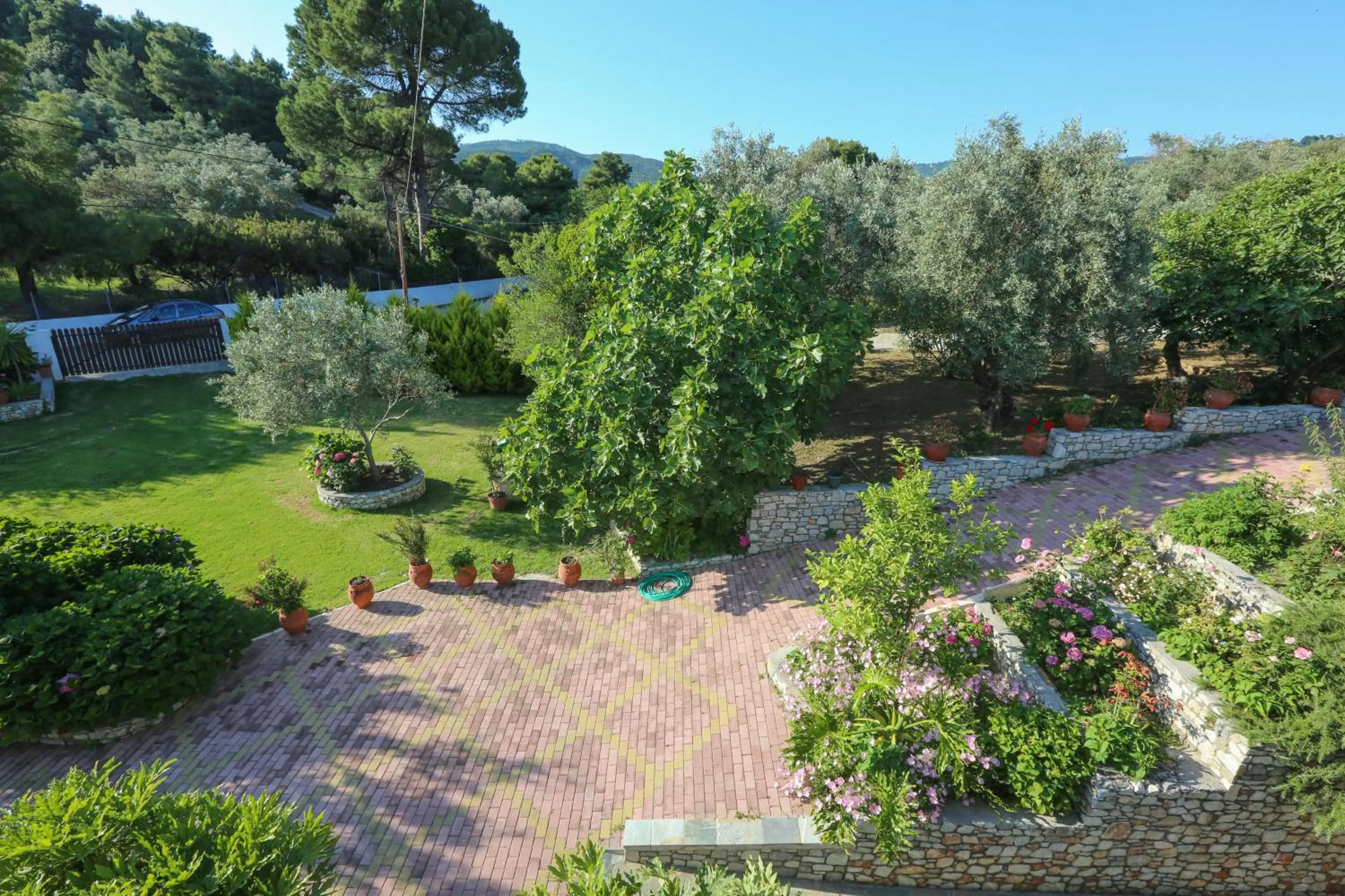 Garden view in Skiathos Argento
