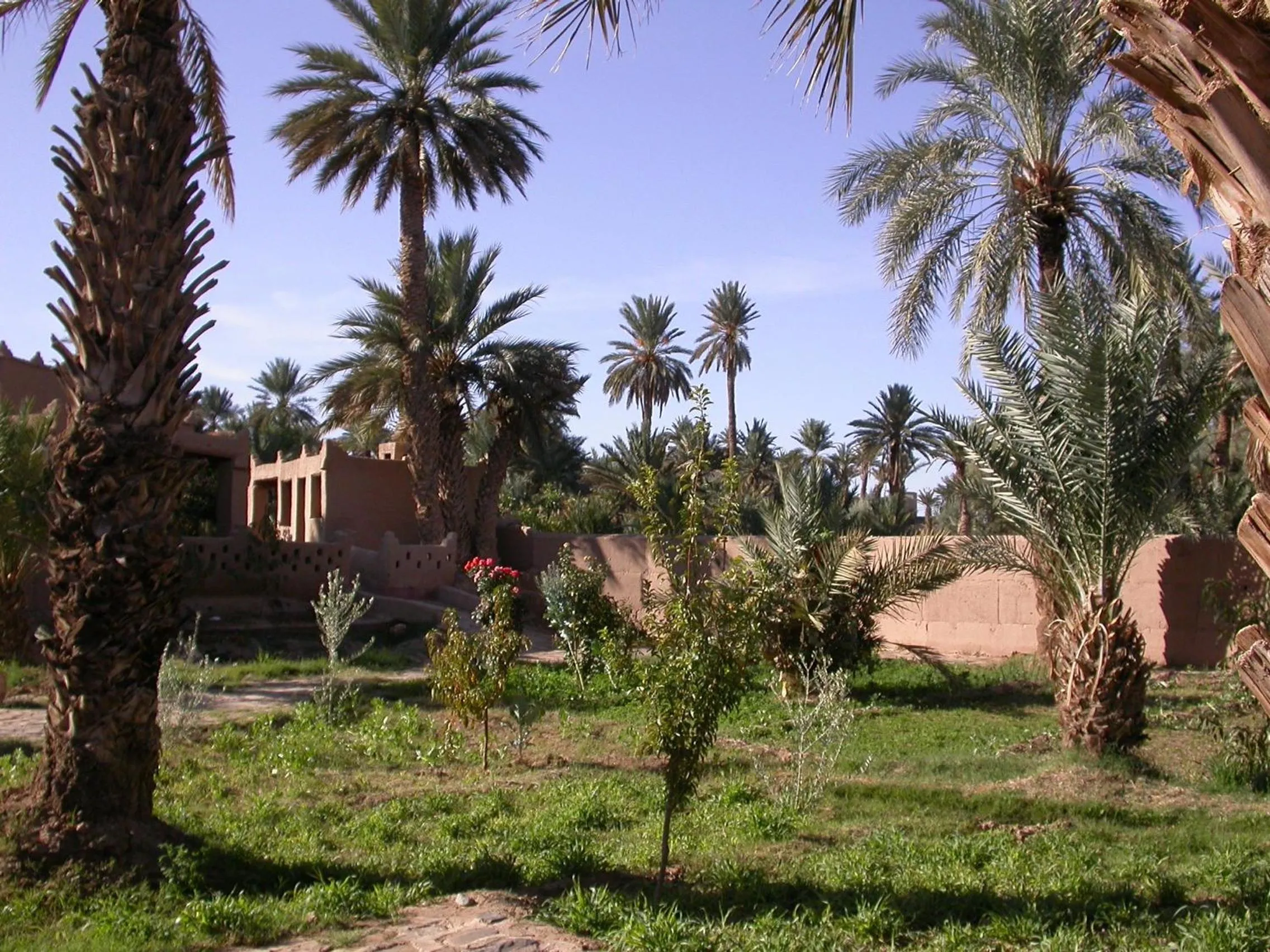 Natural landscape in Gite Elkhorbat