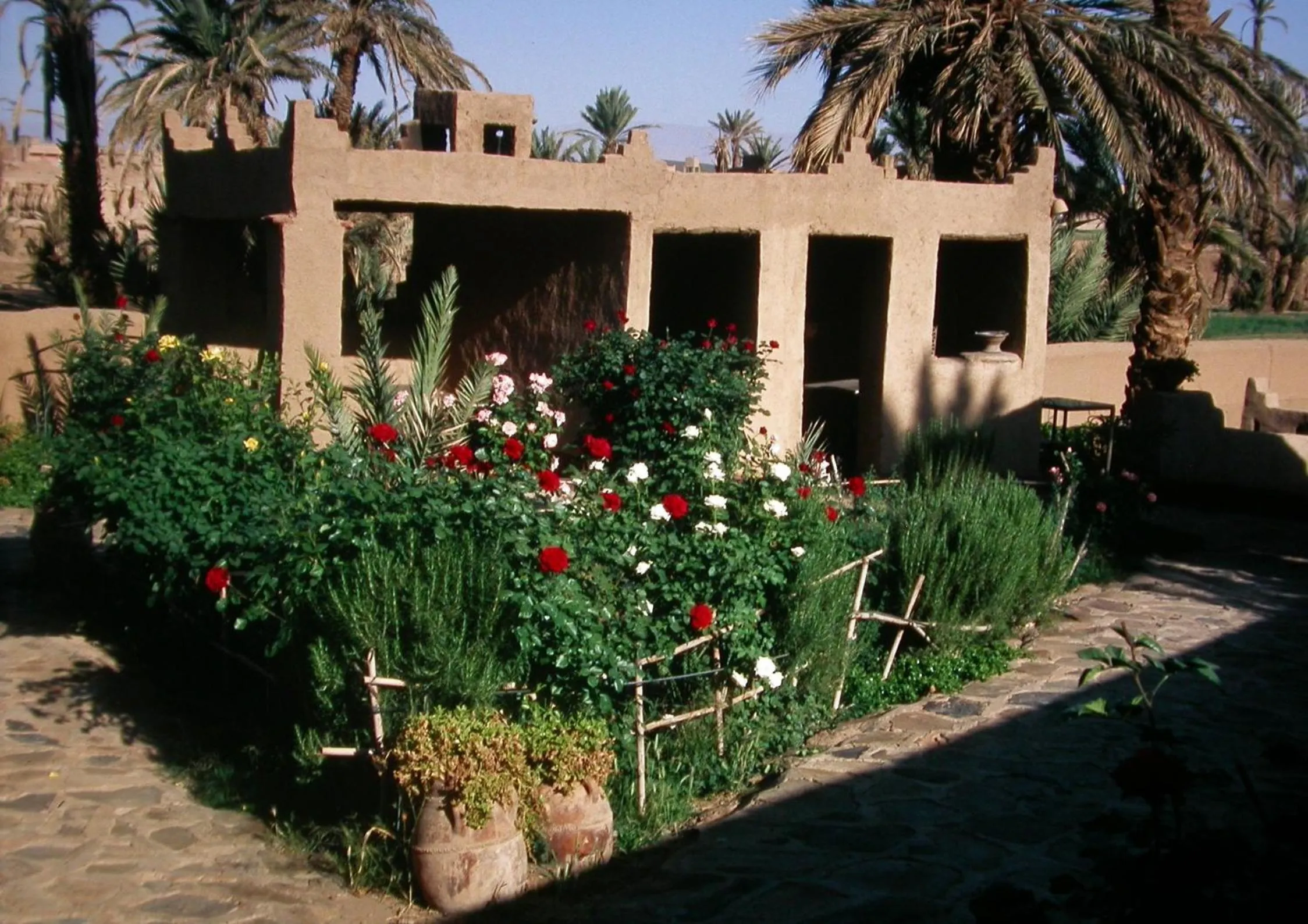 Garden in Gite Elkhorbat