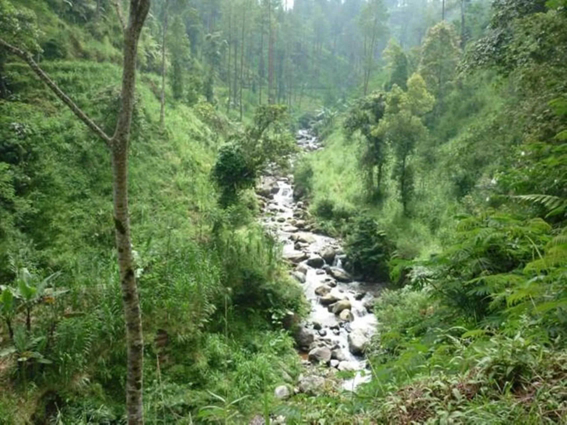 River view in Villa Sumbing Indah