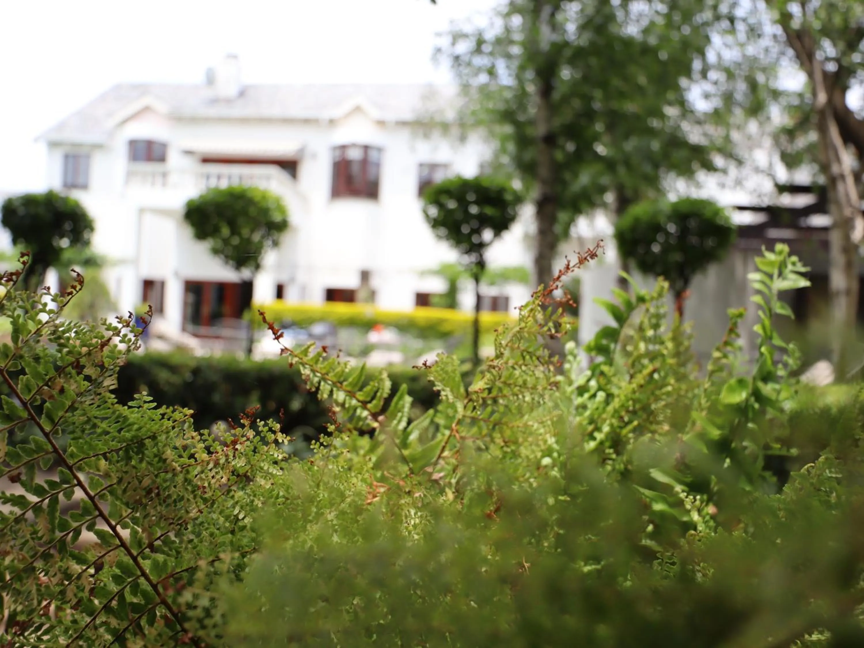 Property building in 5th Avenue Gooseberry Guest House