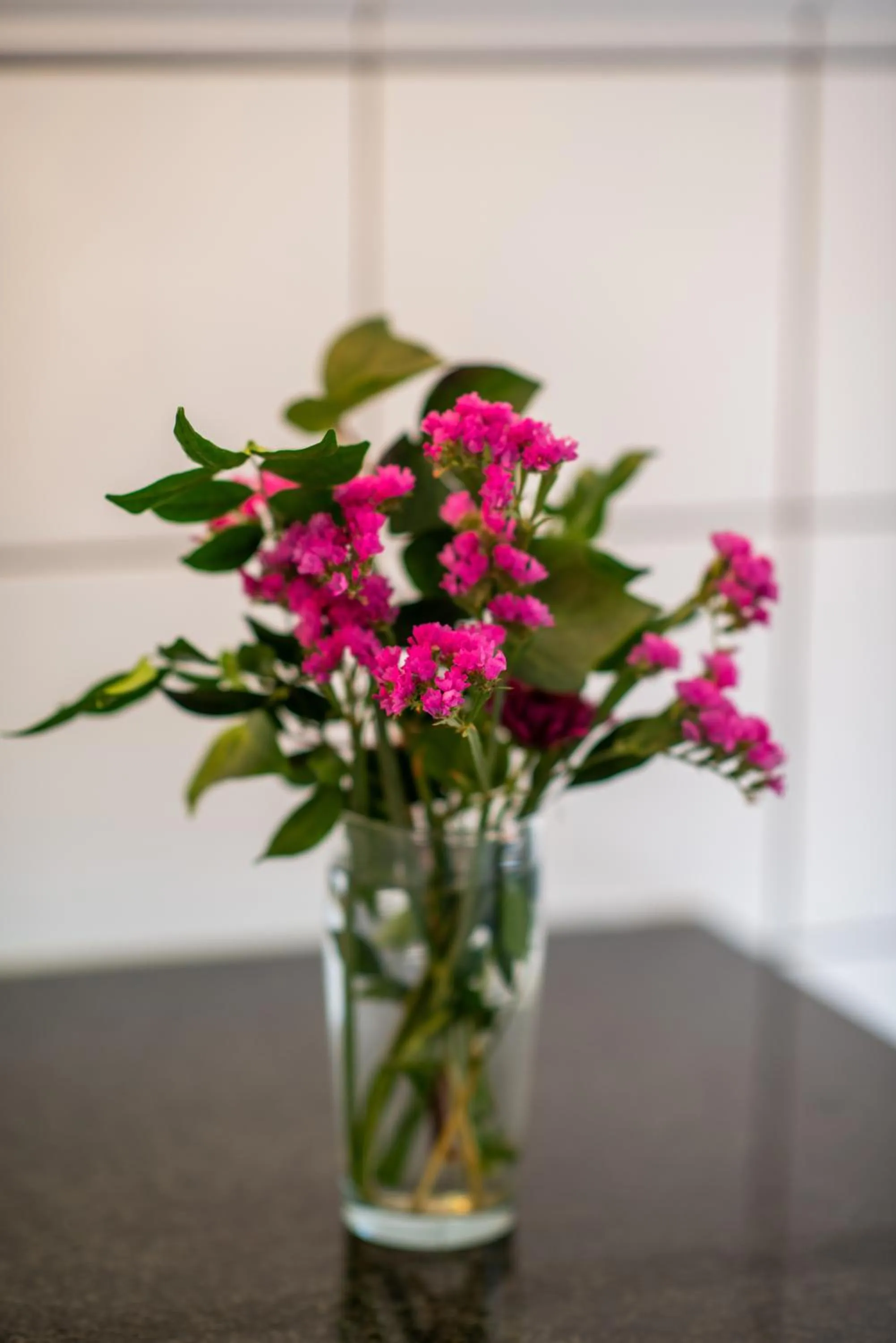 Decorative detail in 5th Avenue Gooseberry Guest House
