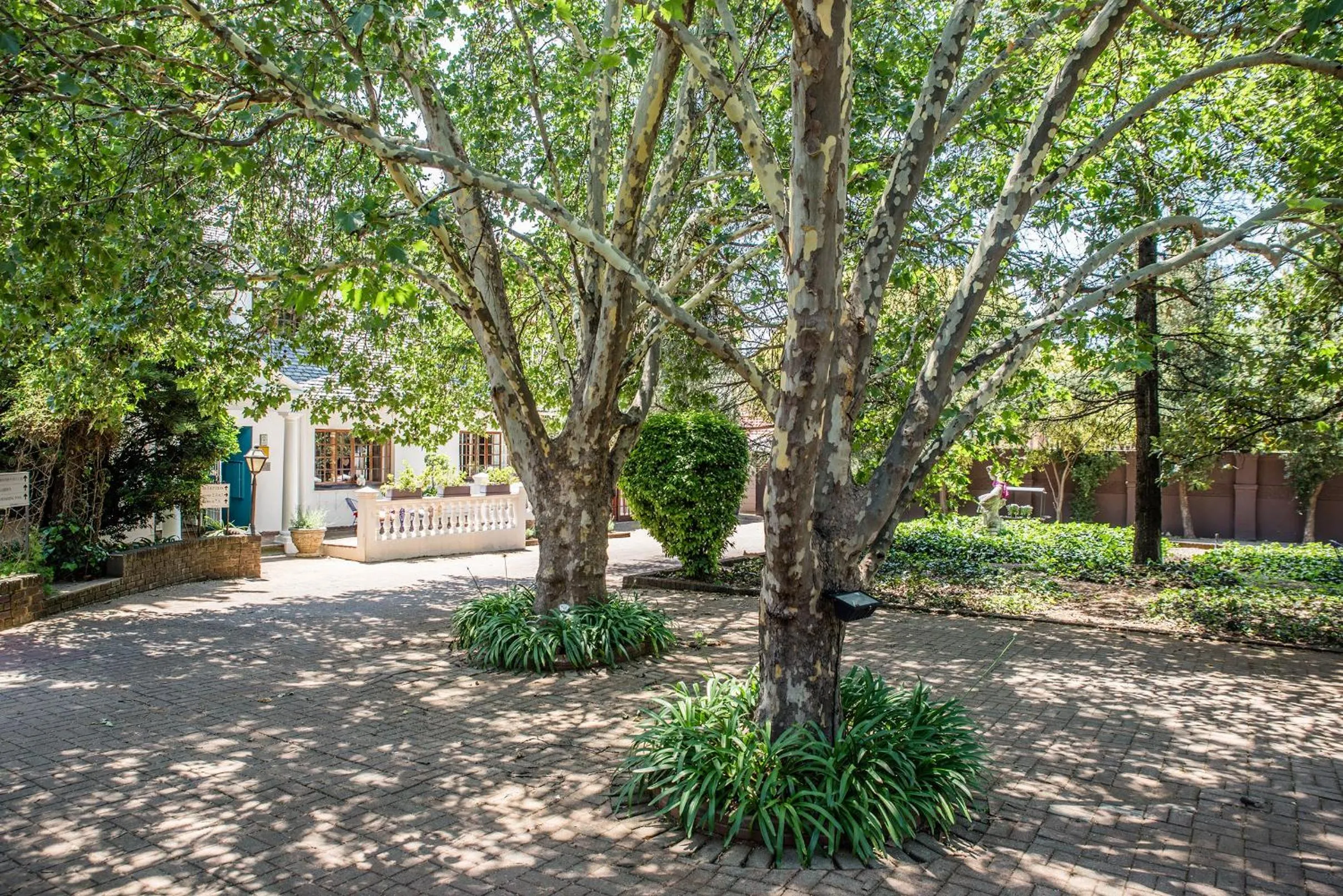 Facade/entrance in 5th Avenue Gooseberry Guest House