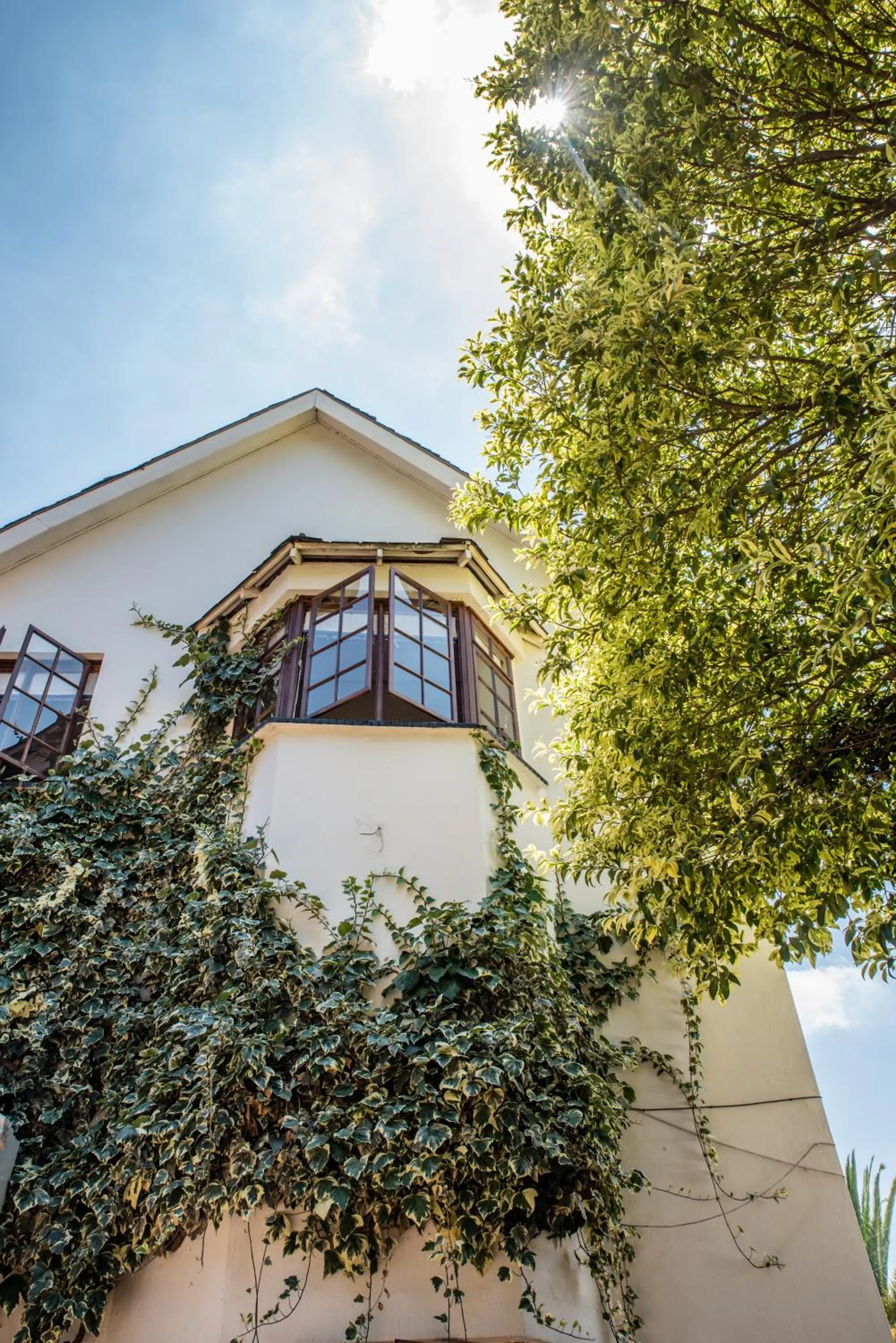 Property building in 5th Avenue Gooseberry Guest House