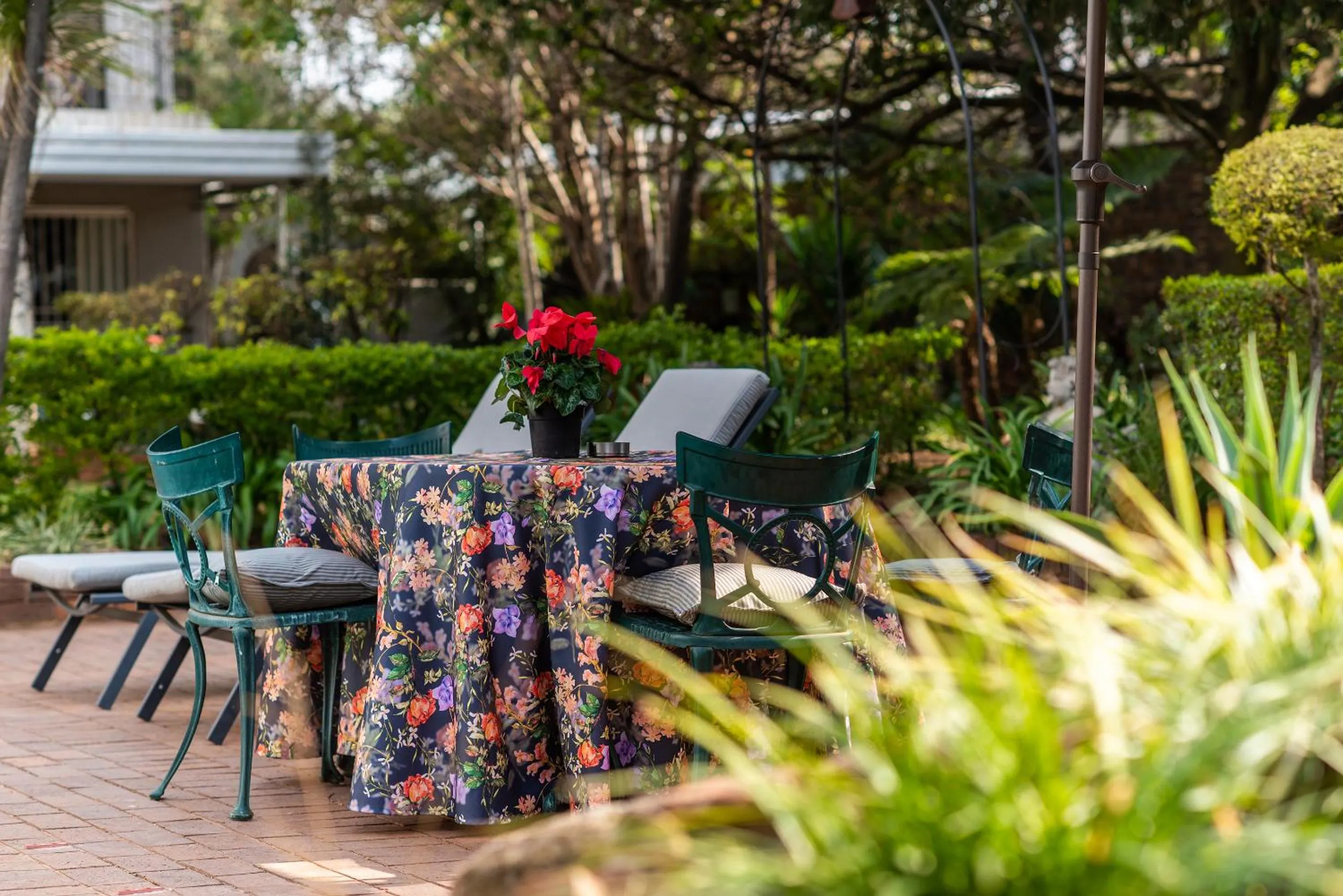 Garden in 5th Avenue Gooseberry Guest House