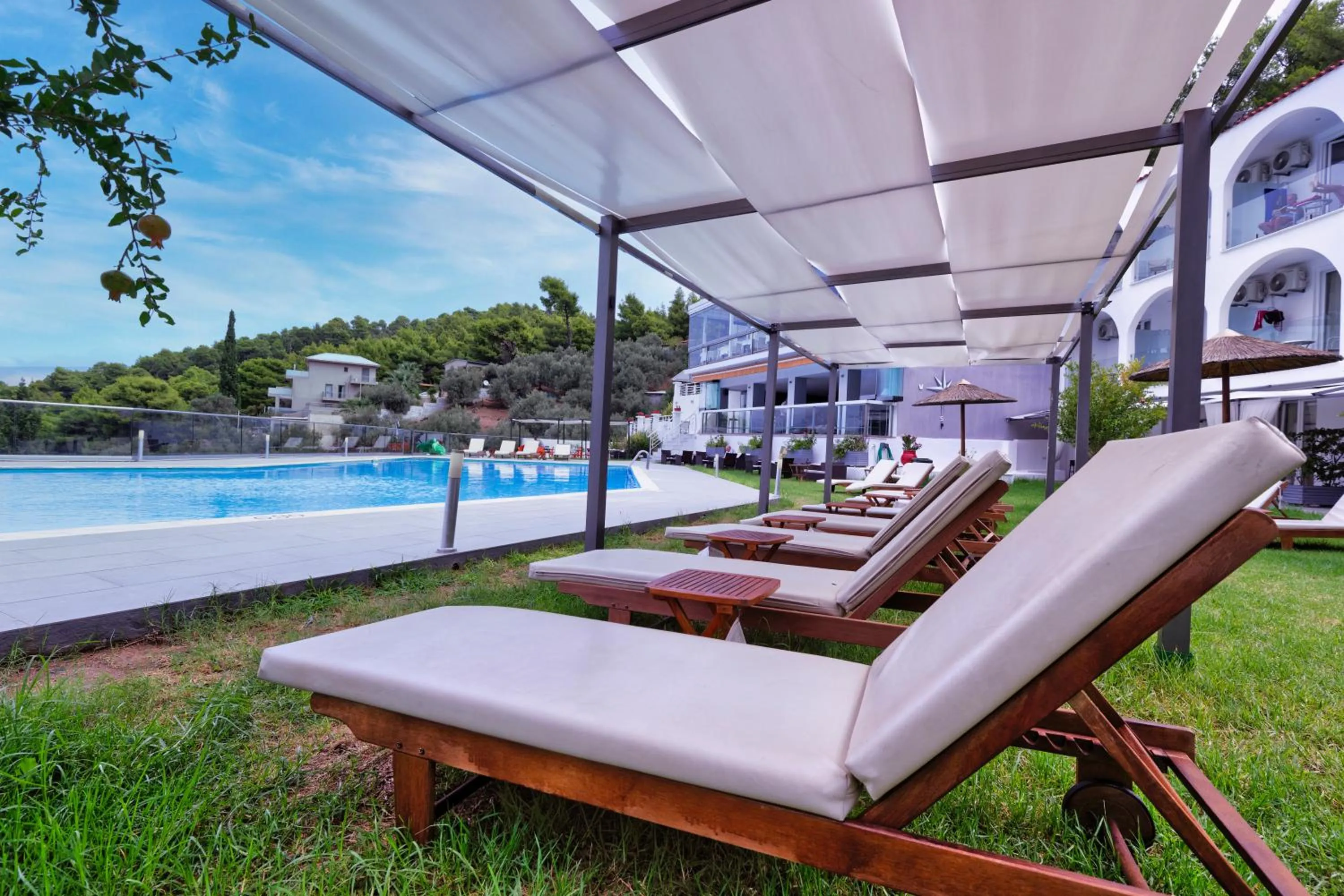 Swimming pool in Hotel Punta