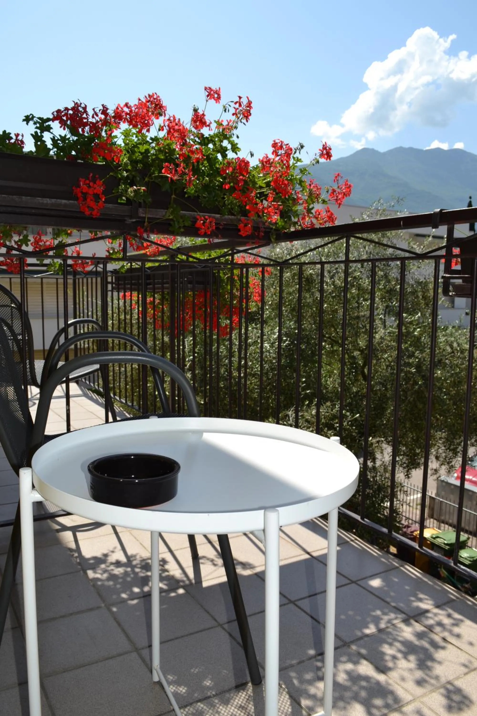 Balcony/Terrace in Hotel Villa Rina