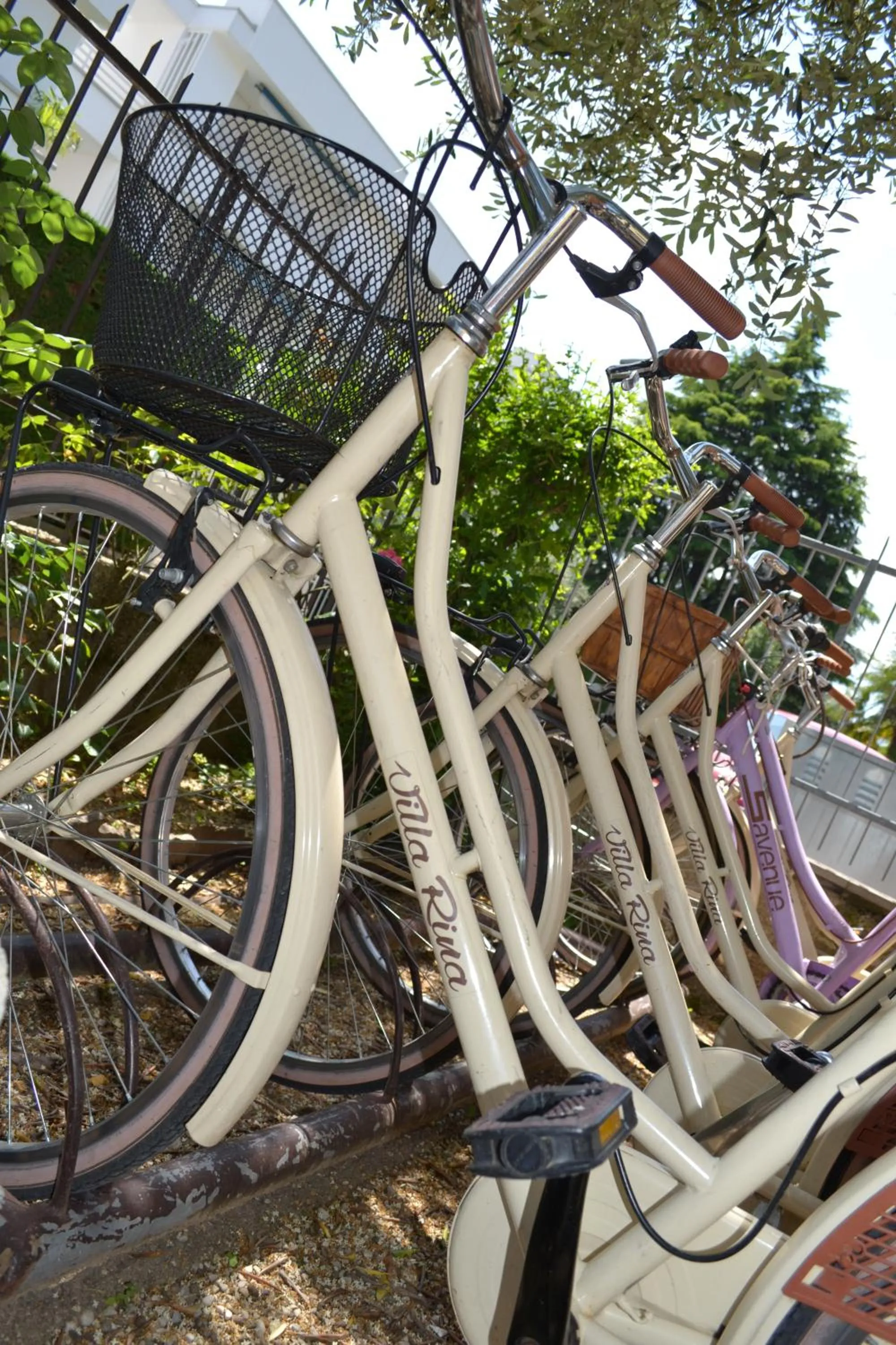 Activities in Hotel Villa Rina