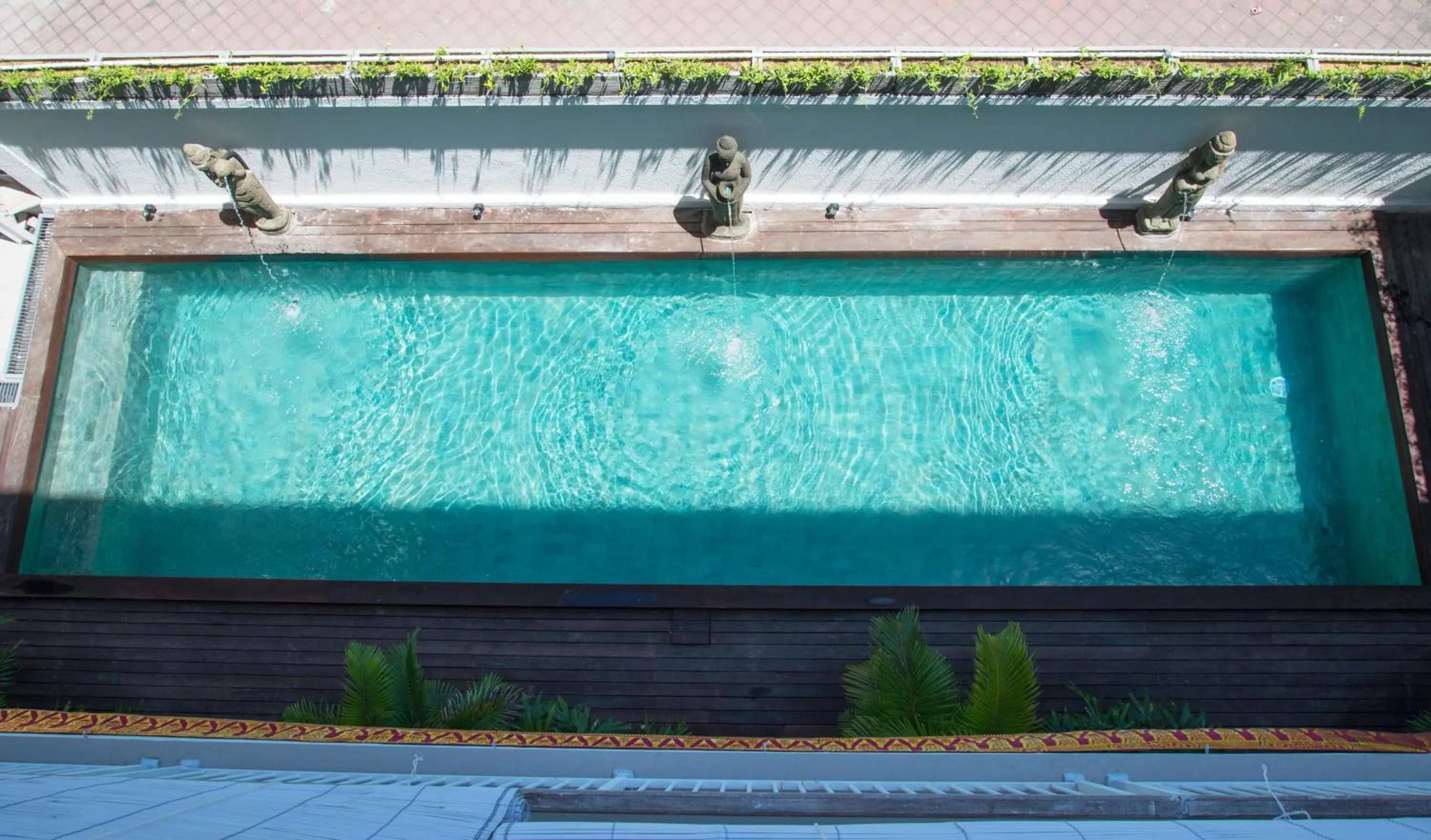 Pool view in Matra Co Working & Co Living