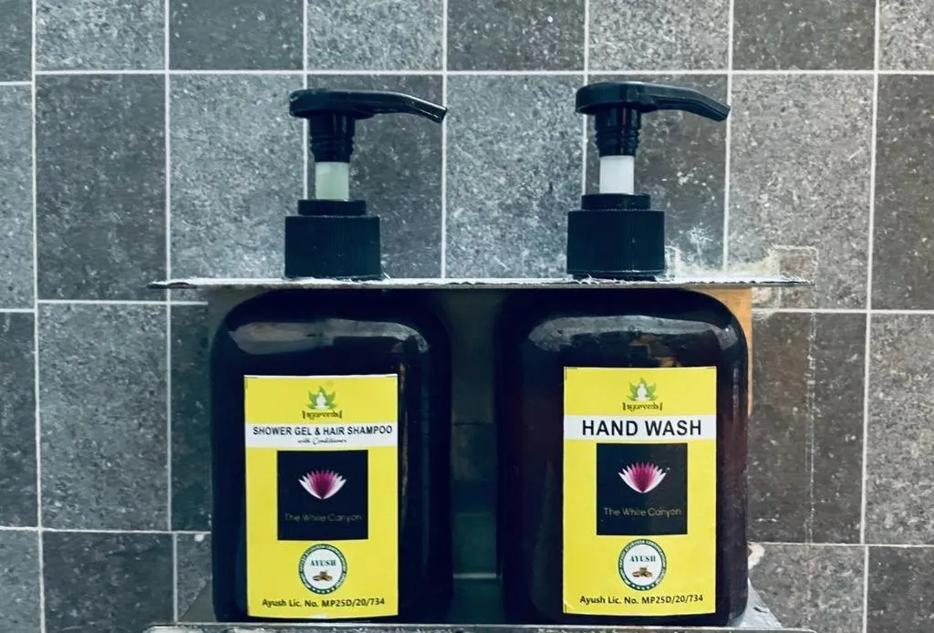 Bathroom in The White Canyon