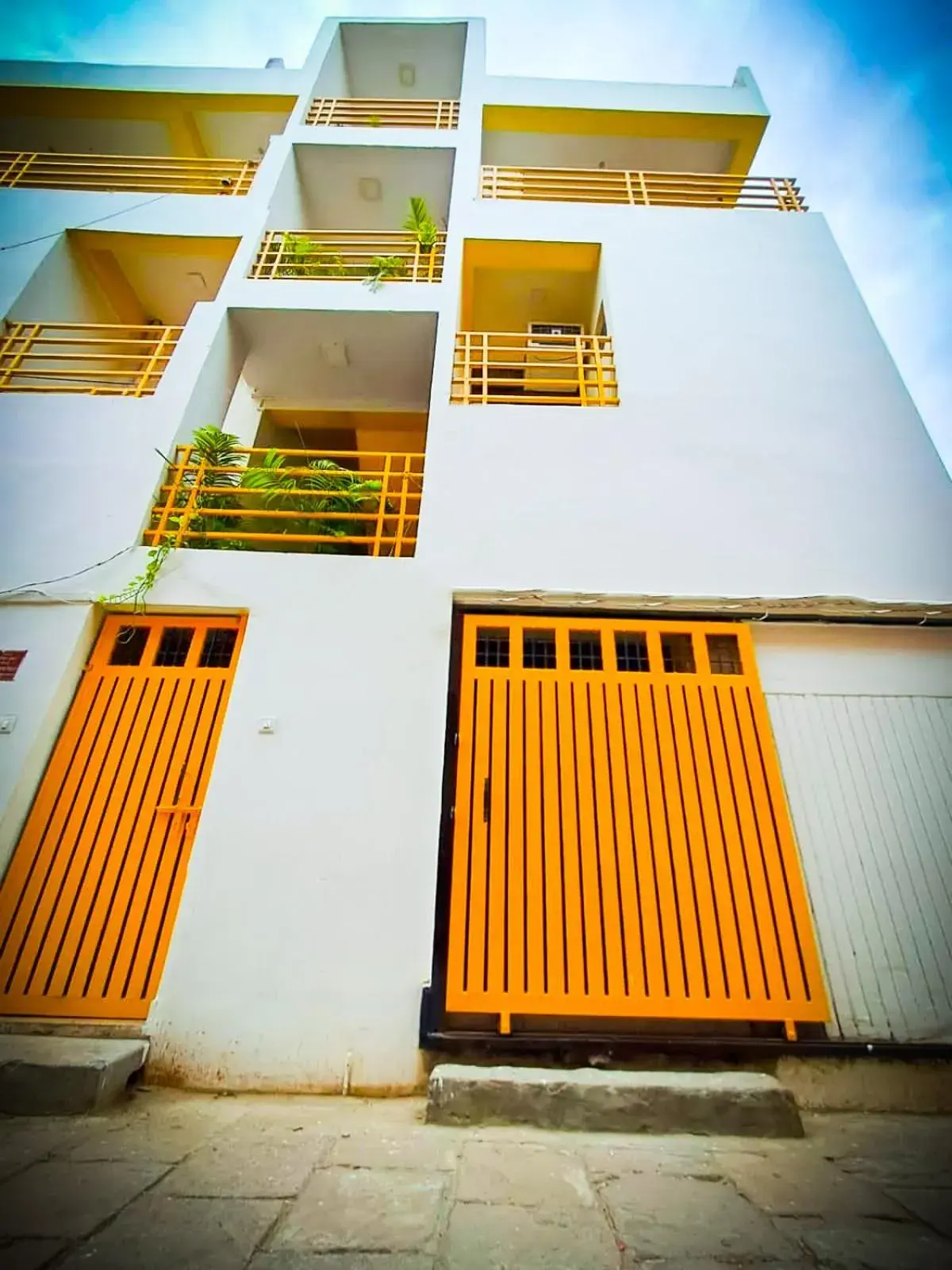 The White Canyon The White Canyon