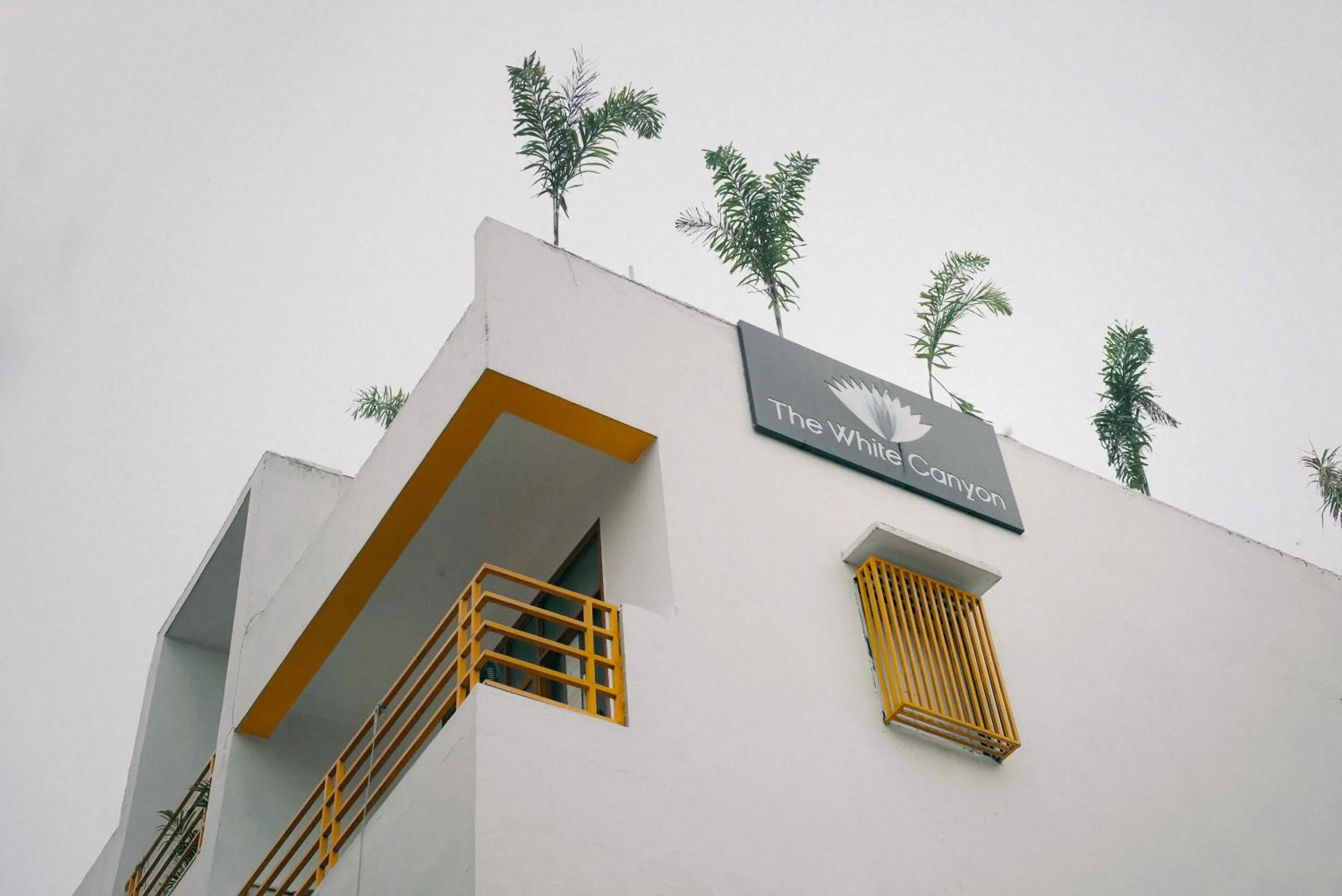 Property building in The White Canyon