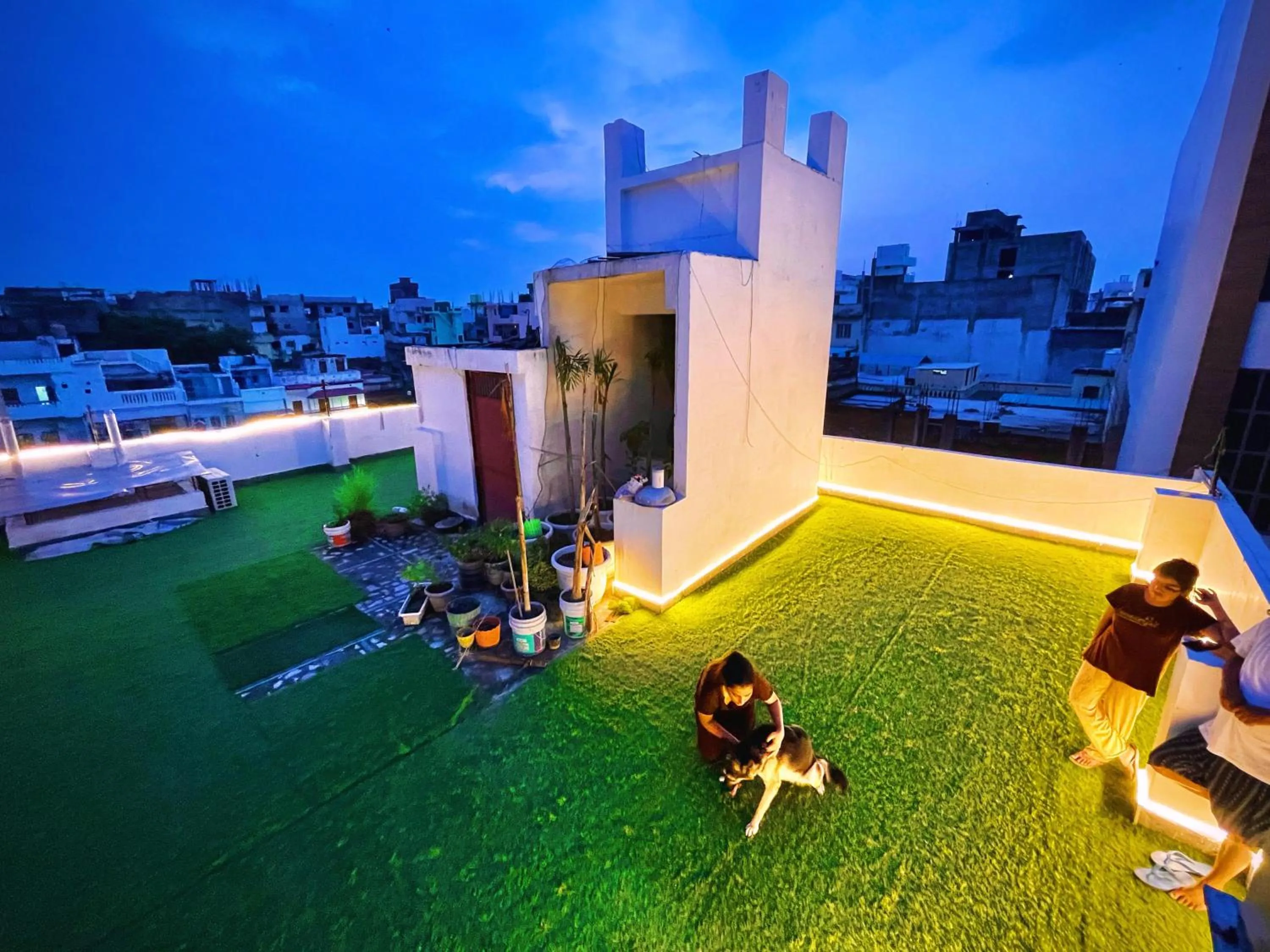 Garden in The White Canyon