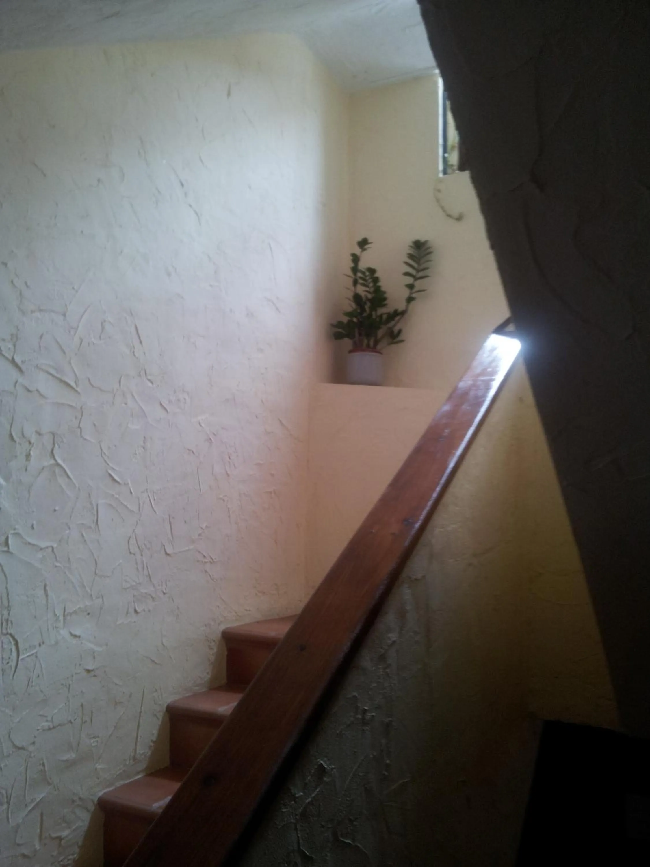 Other in Hotel Triskel