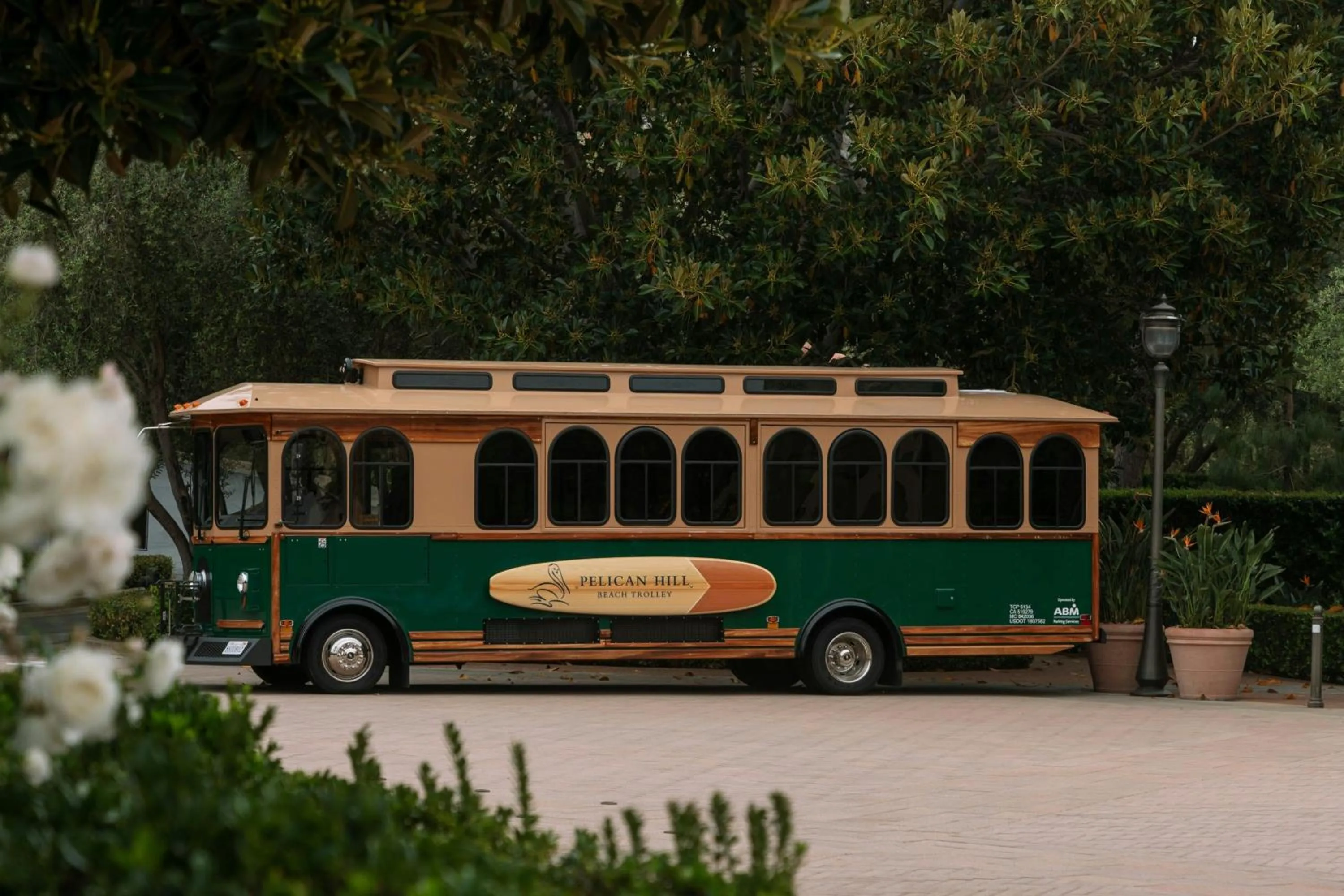 Beach in The Resort at Pelican Hill