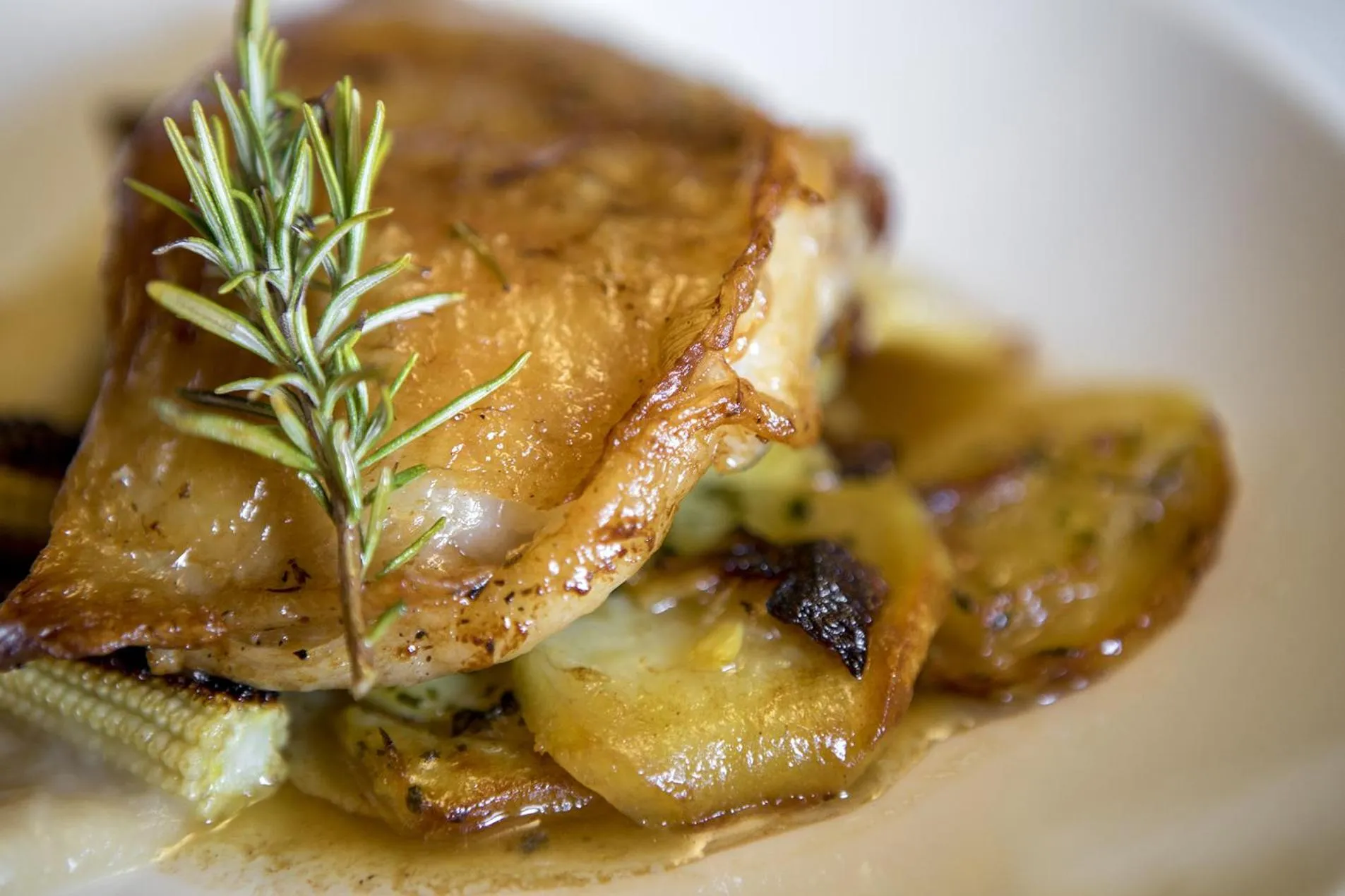 Food and drinks in Hotel La Fonda De La Estación
