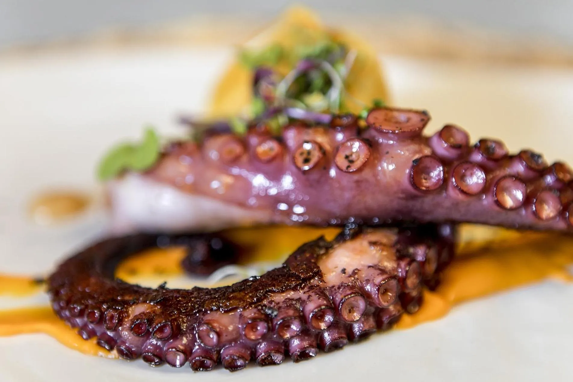 Food and drinks in Hotel La Fonda De La Estación