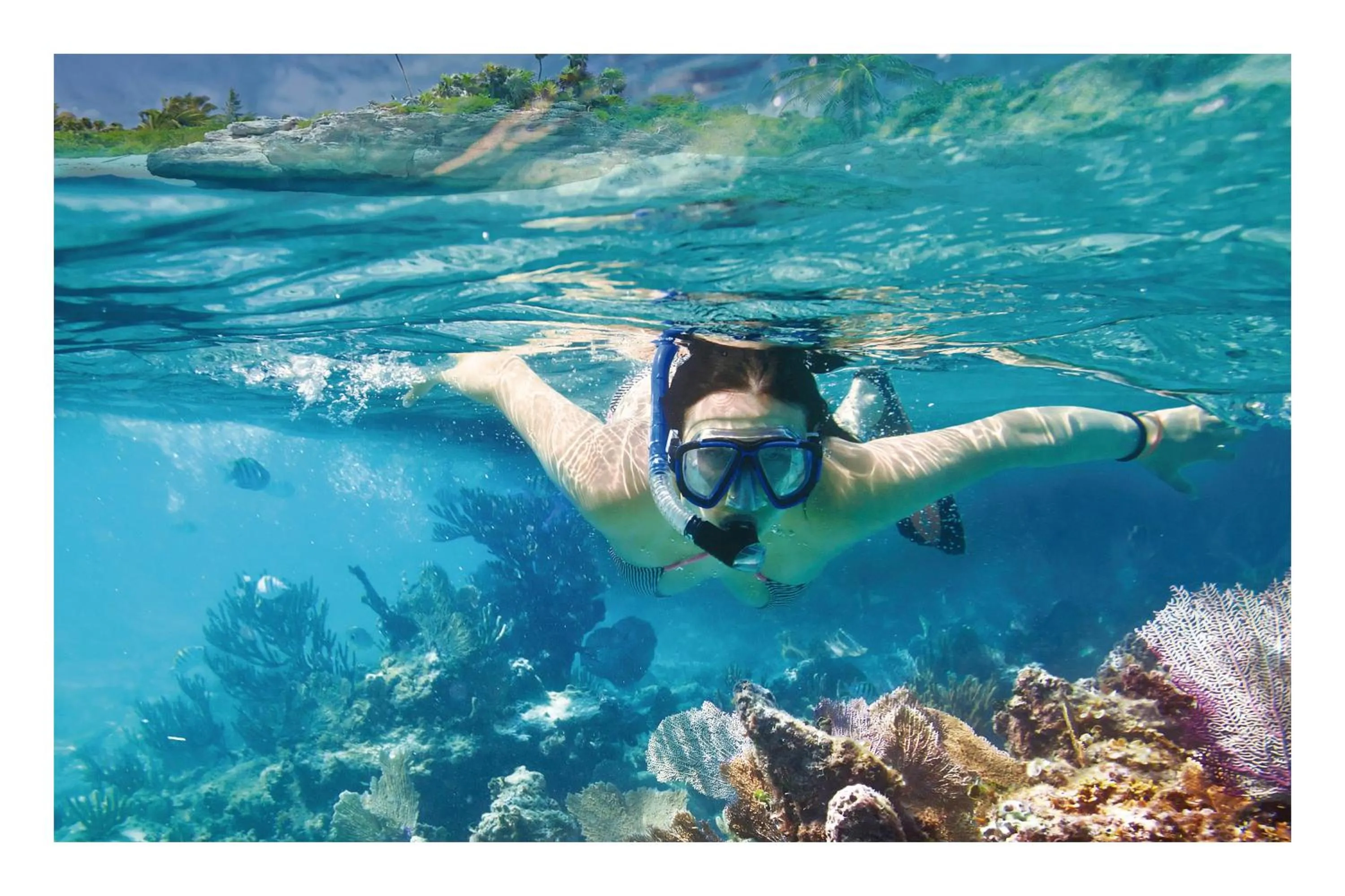 Snorkeling in The Wooden House Hotel