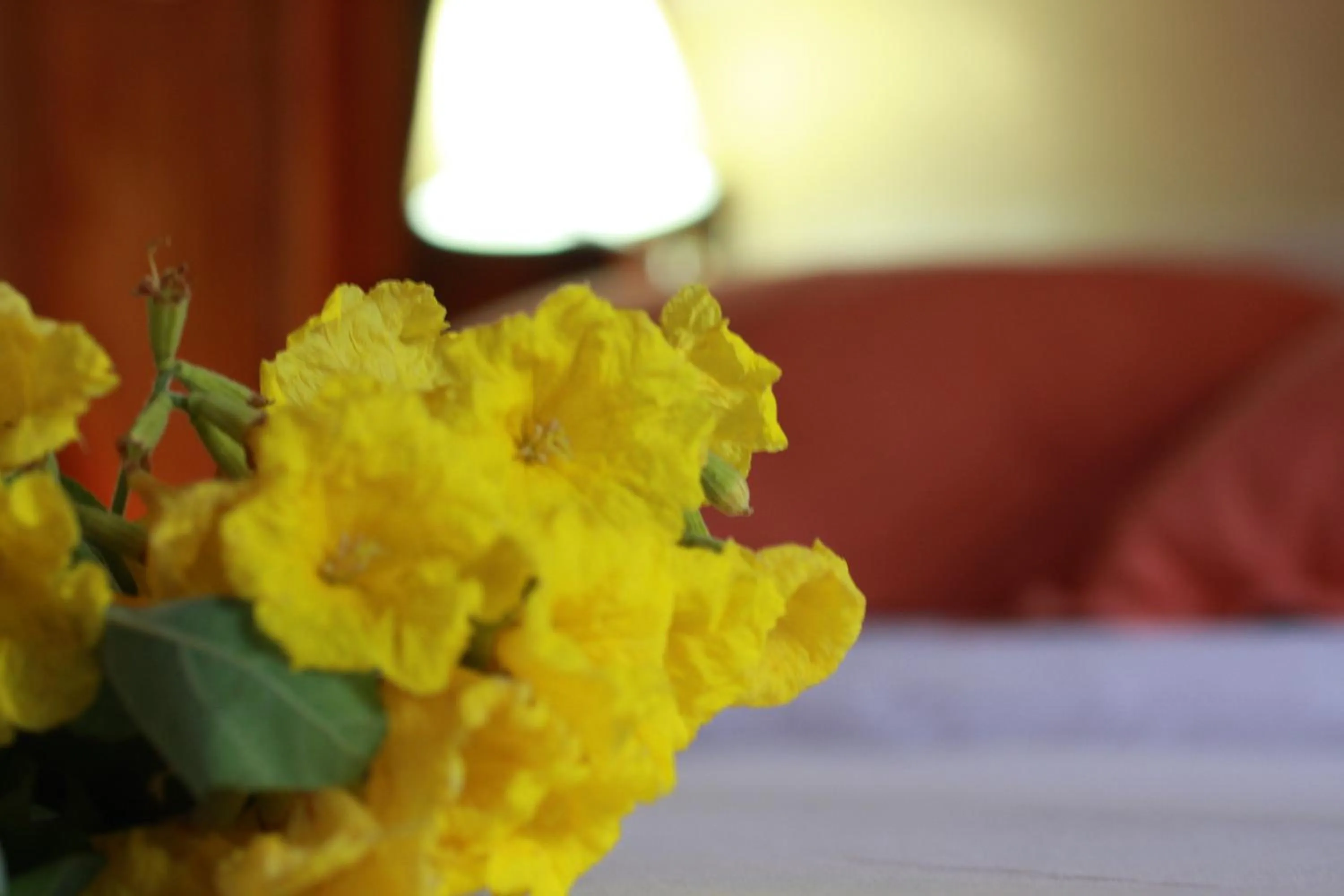 Decorative detail, Bed in The Wooden House Hotel