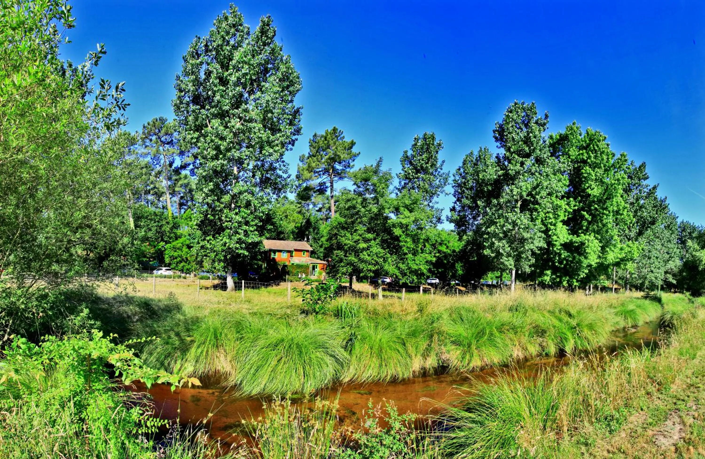 Natural landscape in Village Nature et Océan à côté de la plage avec piscine et jacuzzi