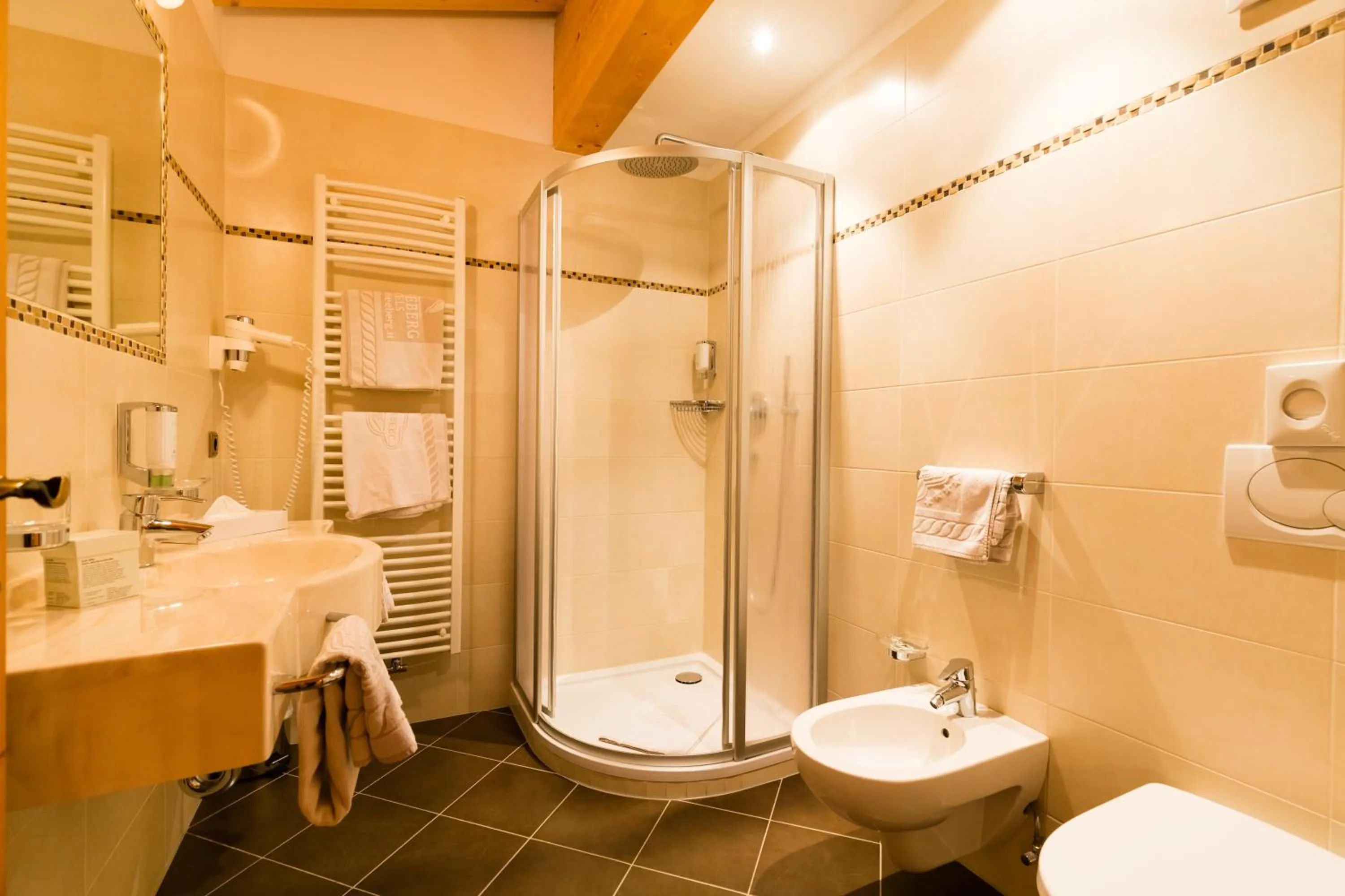 Bathroom in Hotel Schneeberg FAMILY SPA RESORT