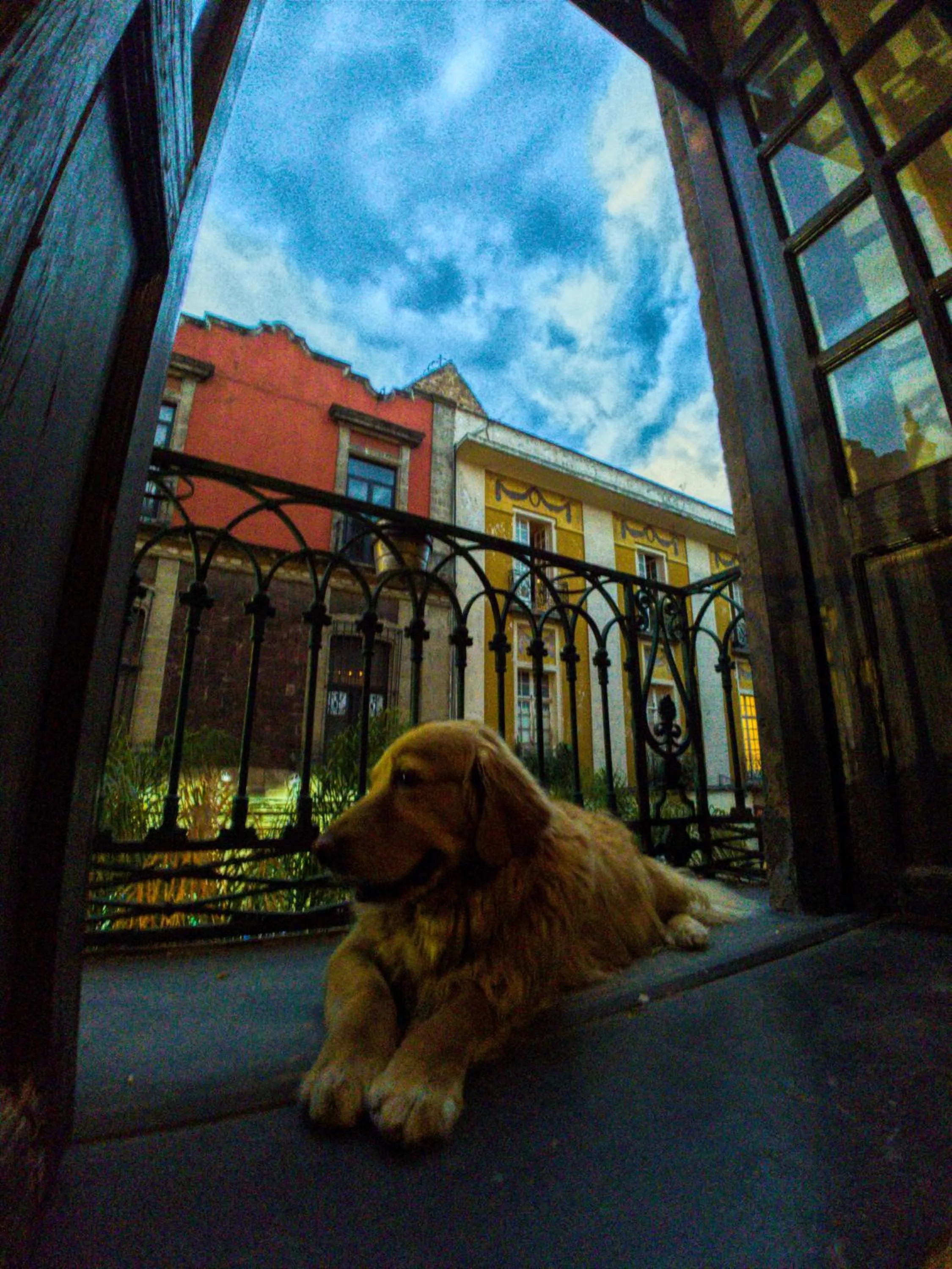 Hostal Regina Down Town Mexico City