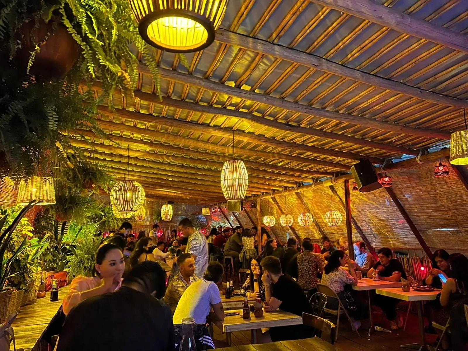 Hostal Regina Down Town Mexico City