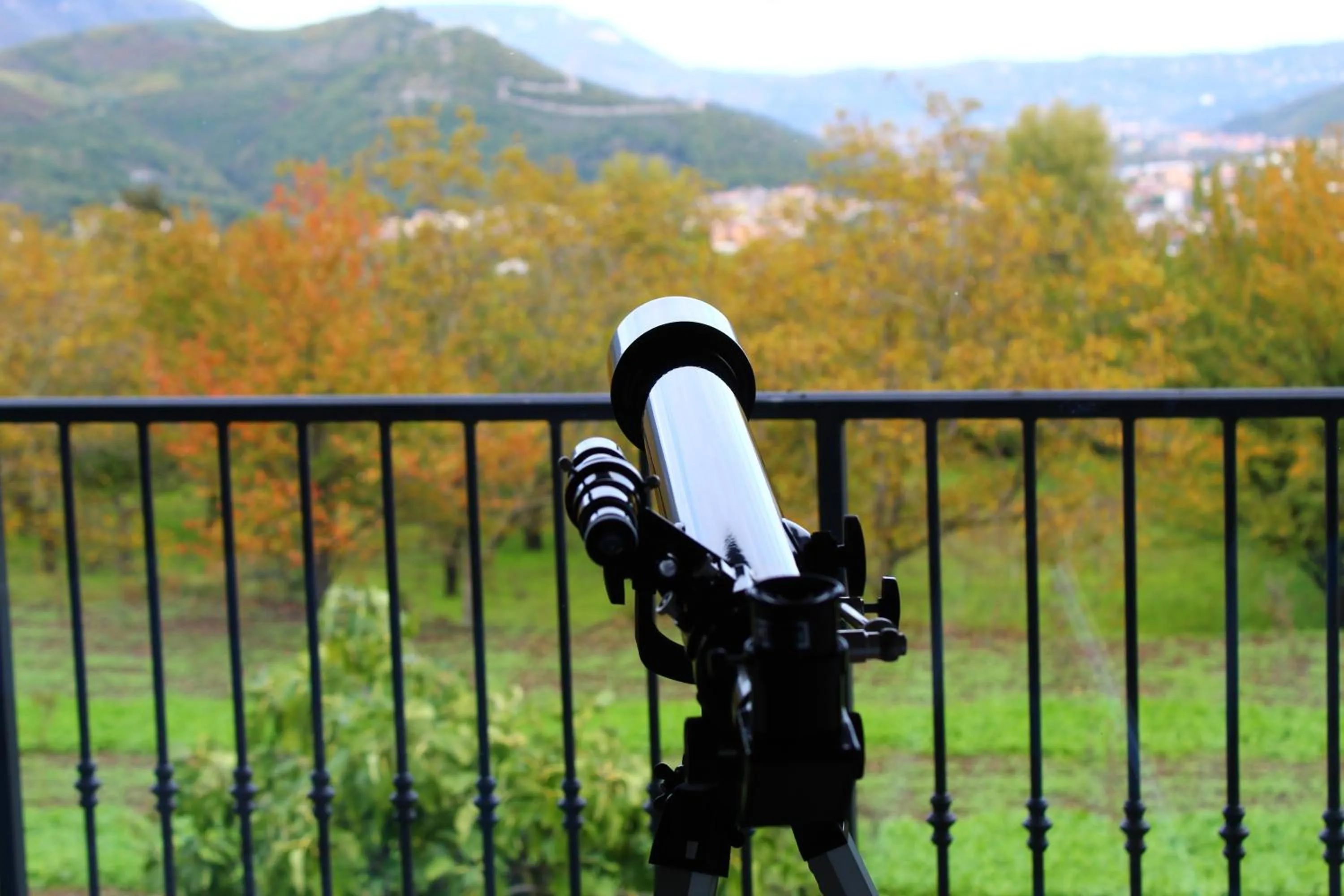 Spring in Caledonia B&B