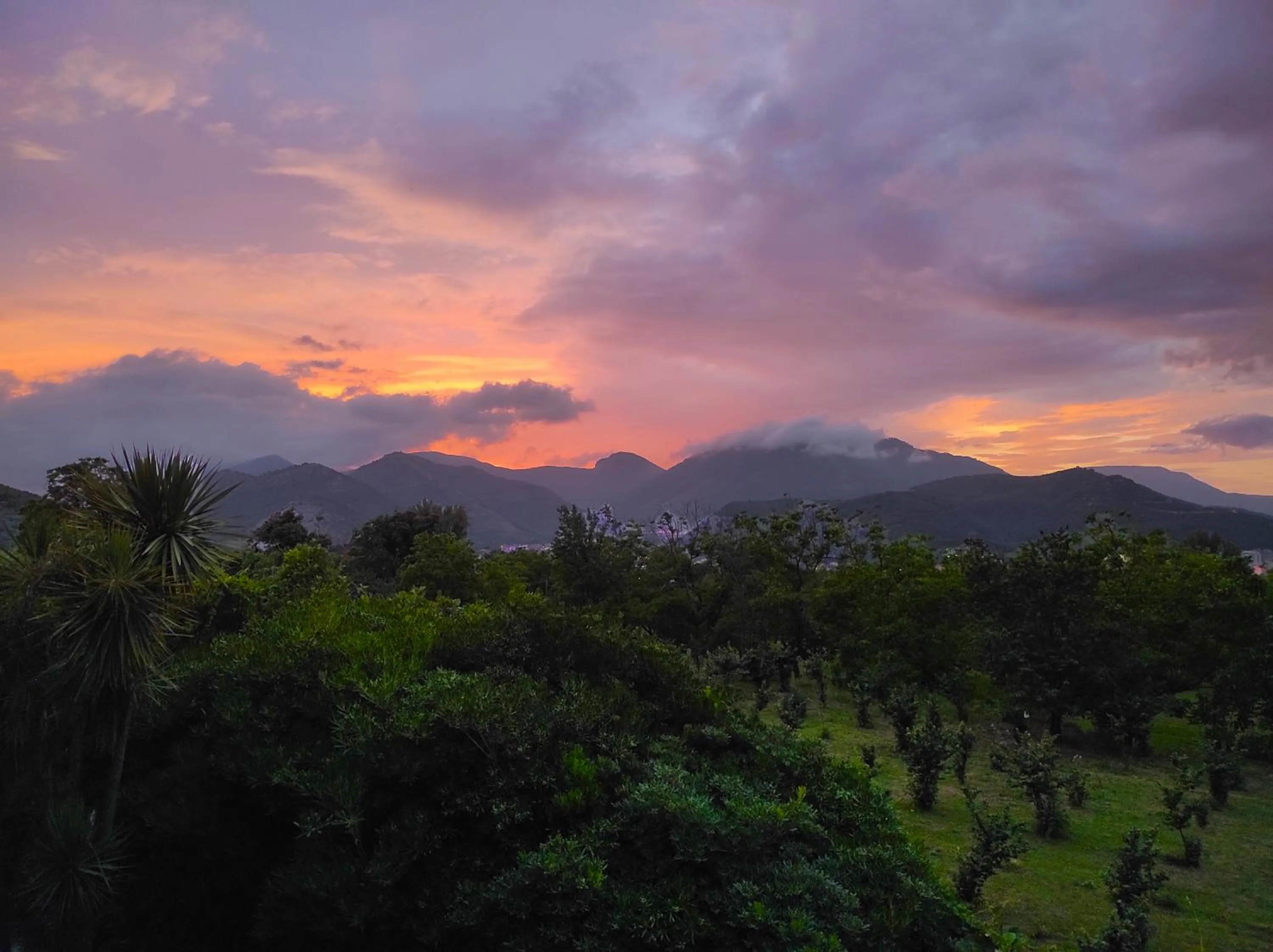 Natural landscape in Caledonia B&B