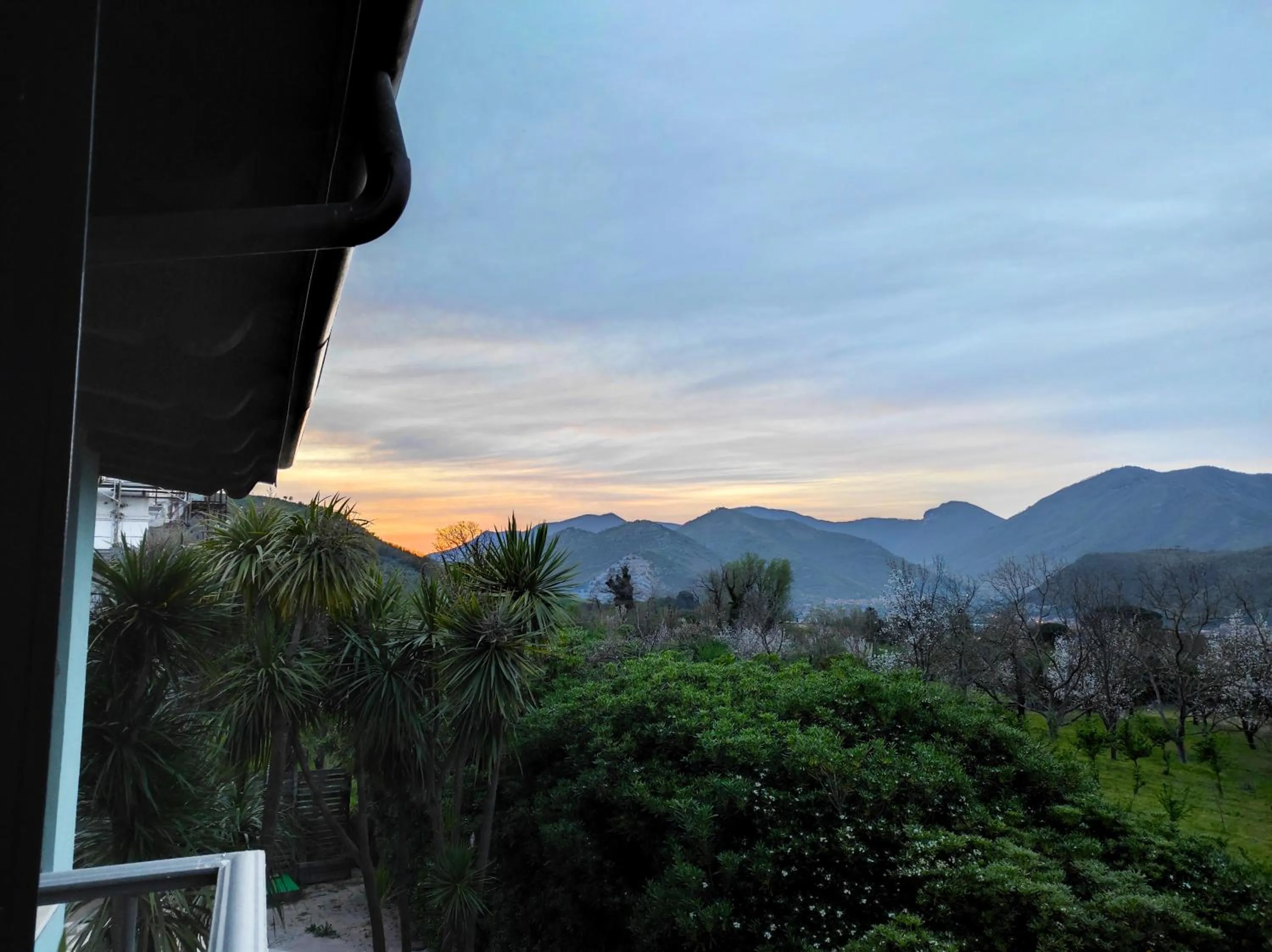 Summer in Caledonia B&B