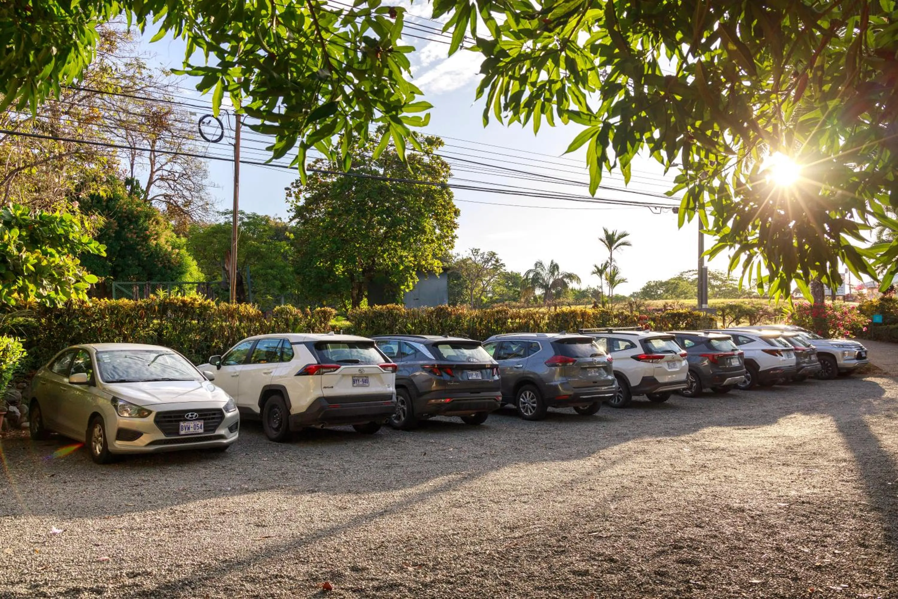 Spring in Si Como No Resort & Wildlife Refuge