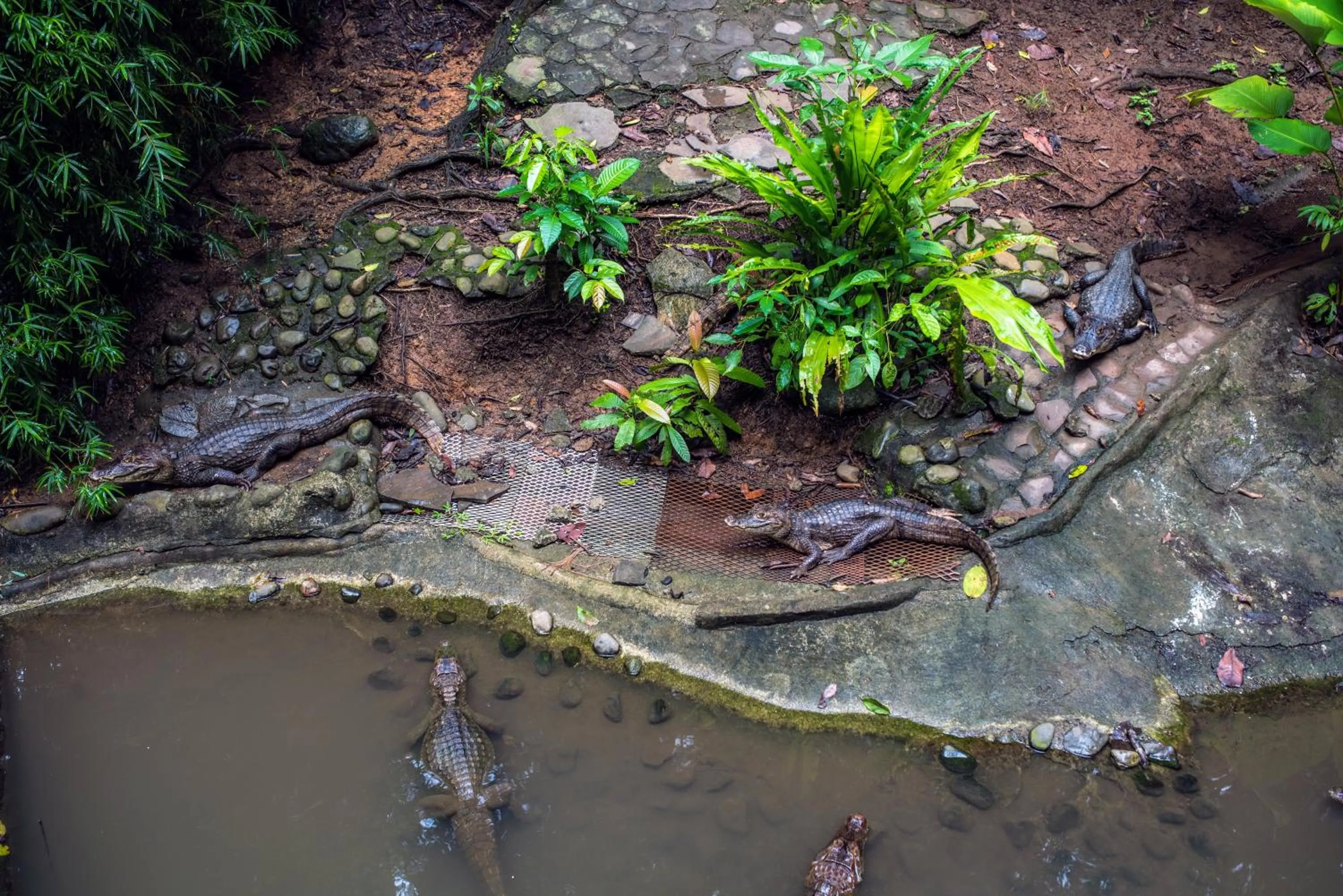 Hiking in Si Como No Resort & Wildlife Refuge