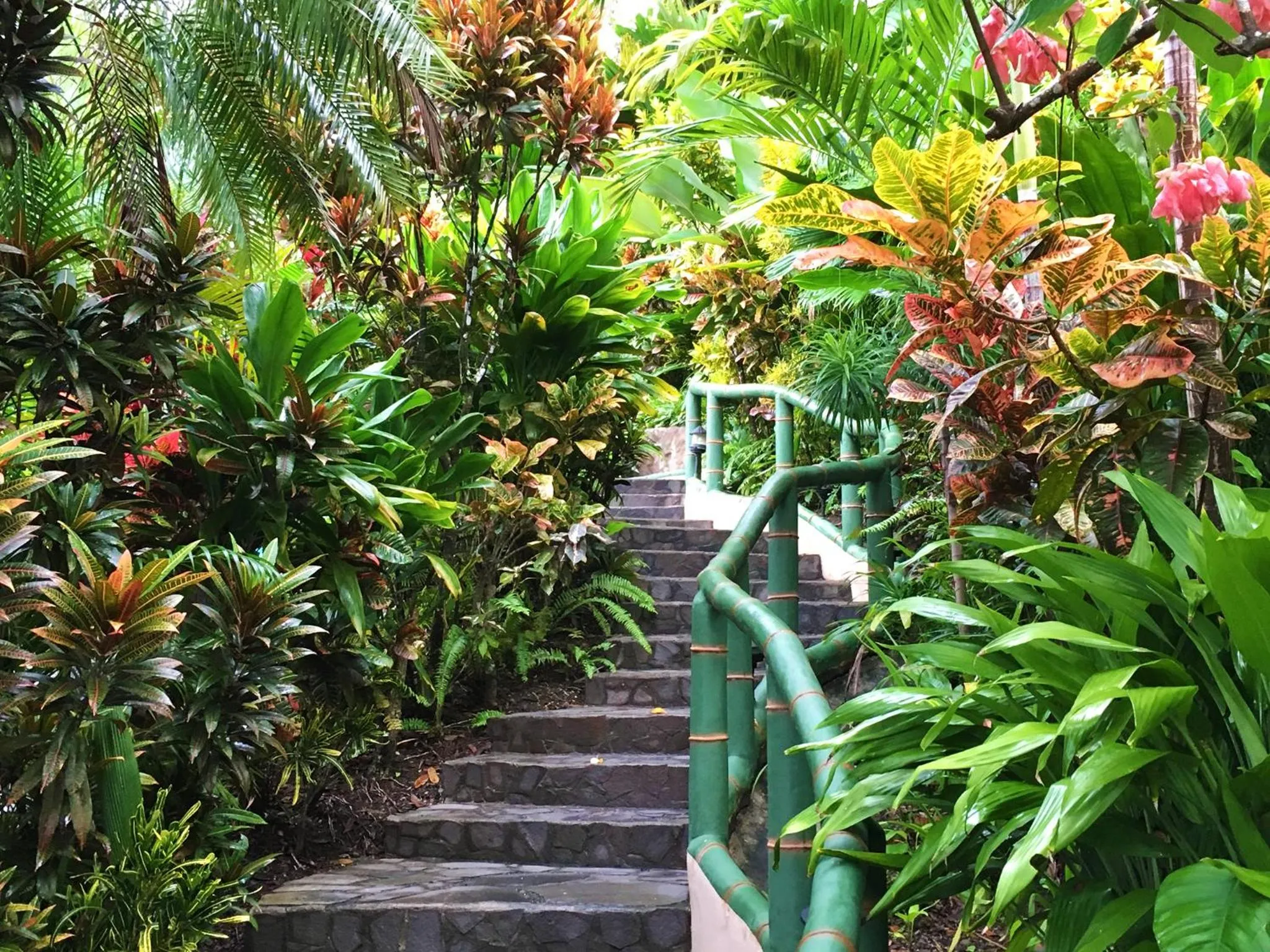 Garden in Si Como No Resort & Wildlife Refuge