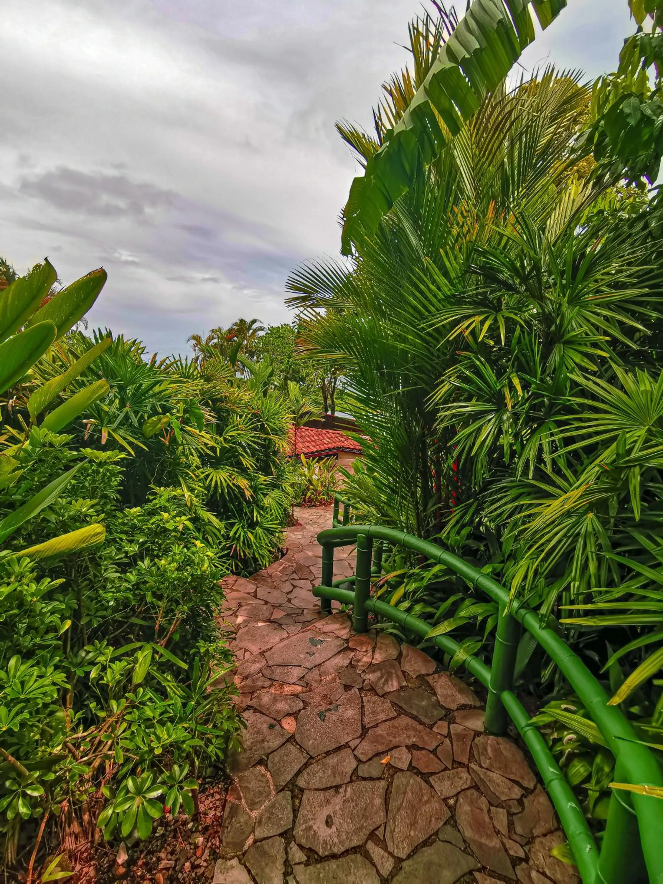 Garden in Si Como No Resort & Wildlife Refuge