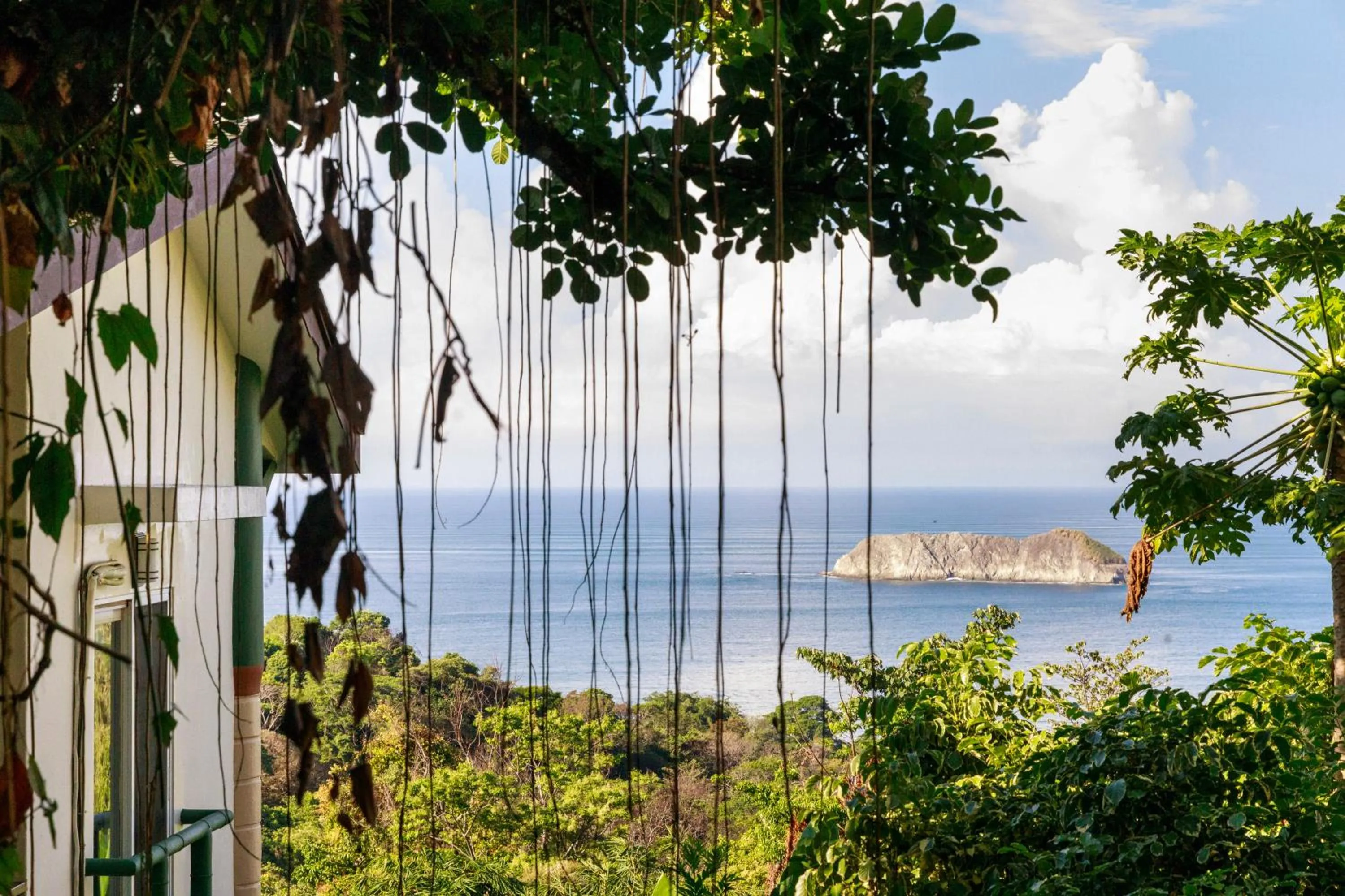 Spring in Si Como No Resort & Wildlife Refuge