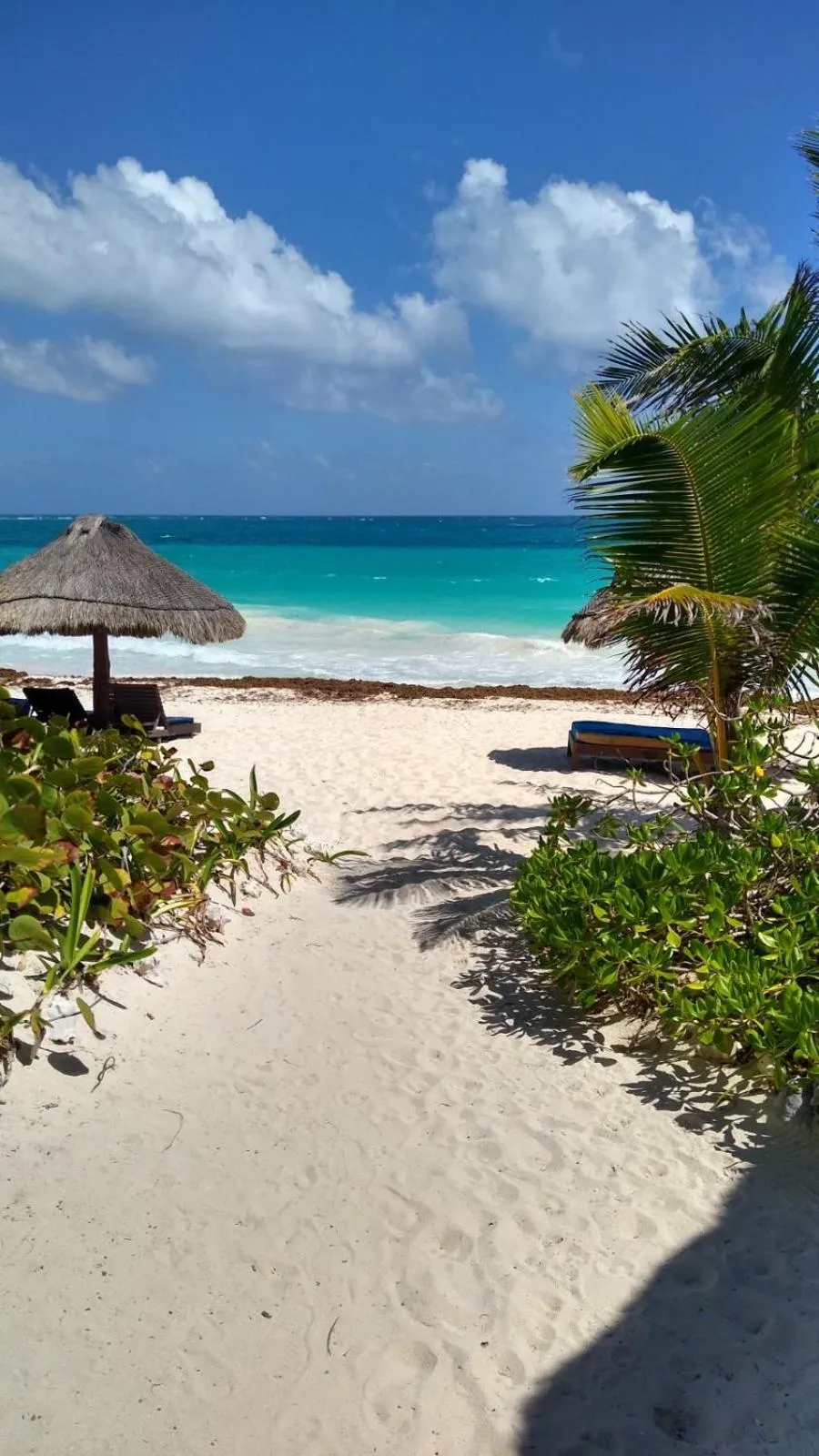 Natural landscape in Sol Caribe