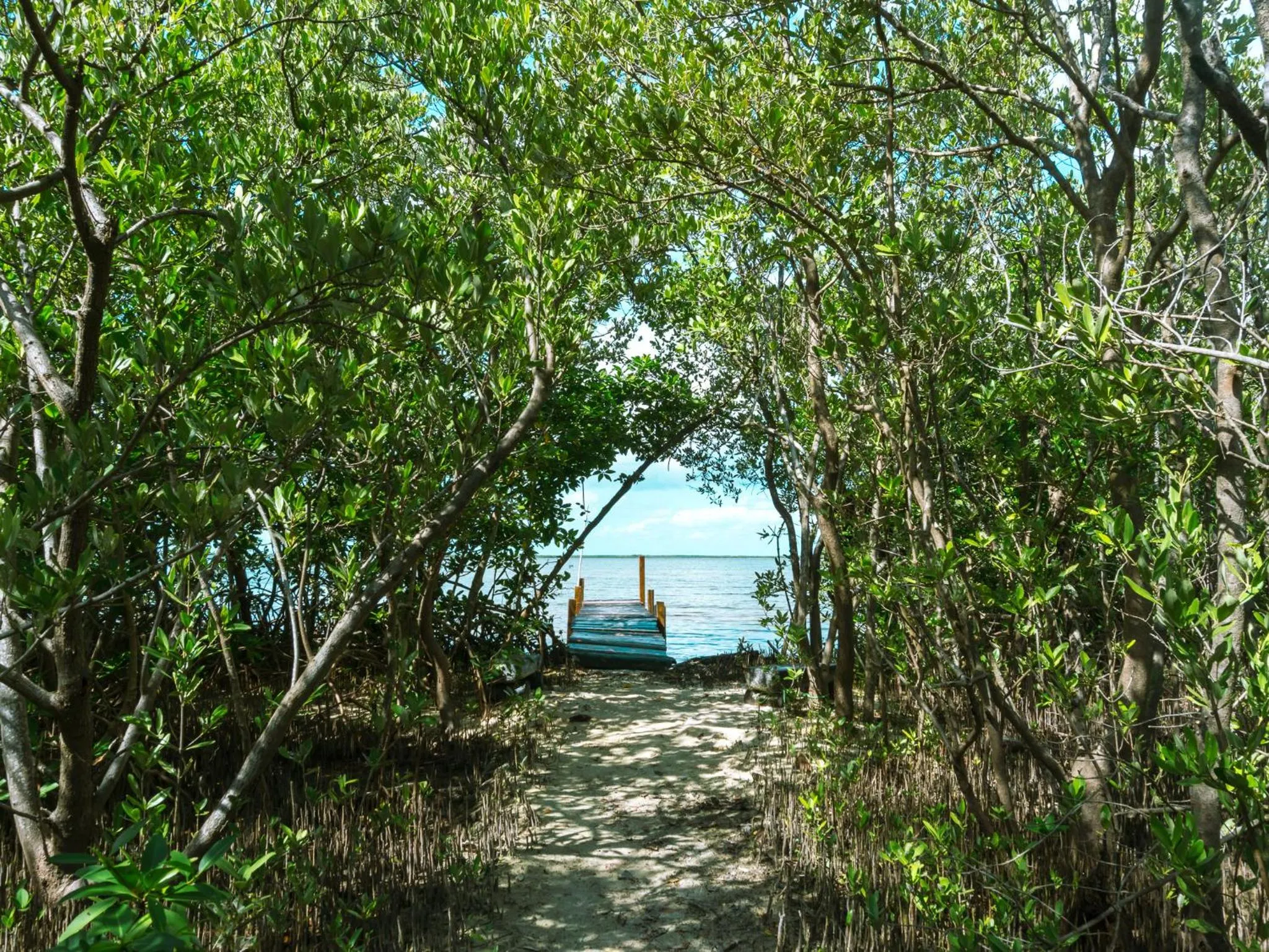 Natural landscape in Sol Caribe