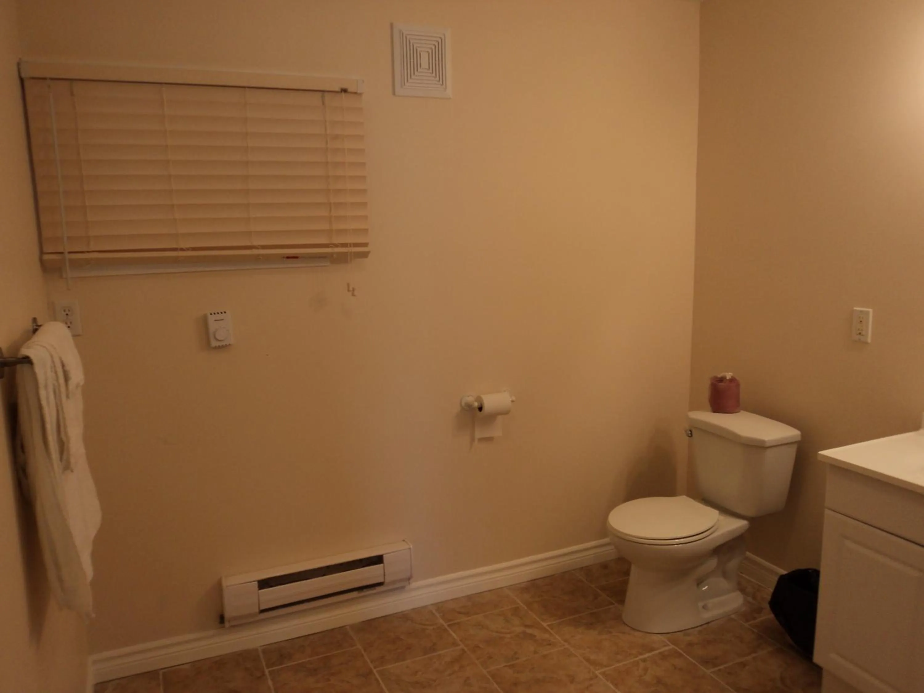 Bathroom in Rymal's Motel