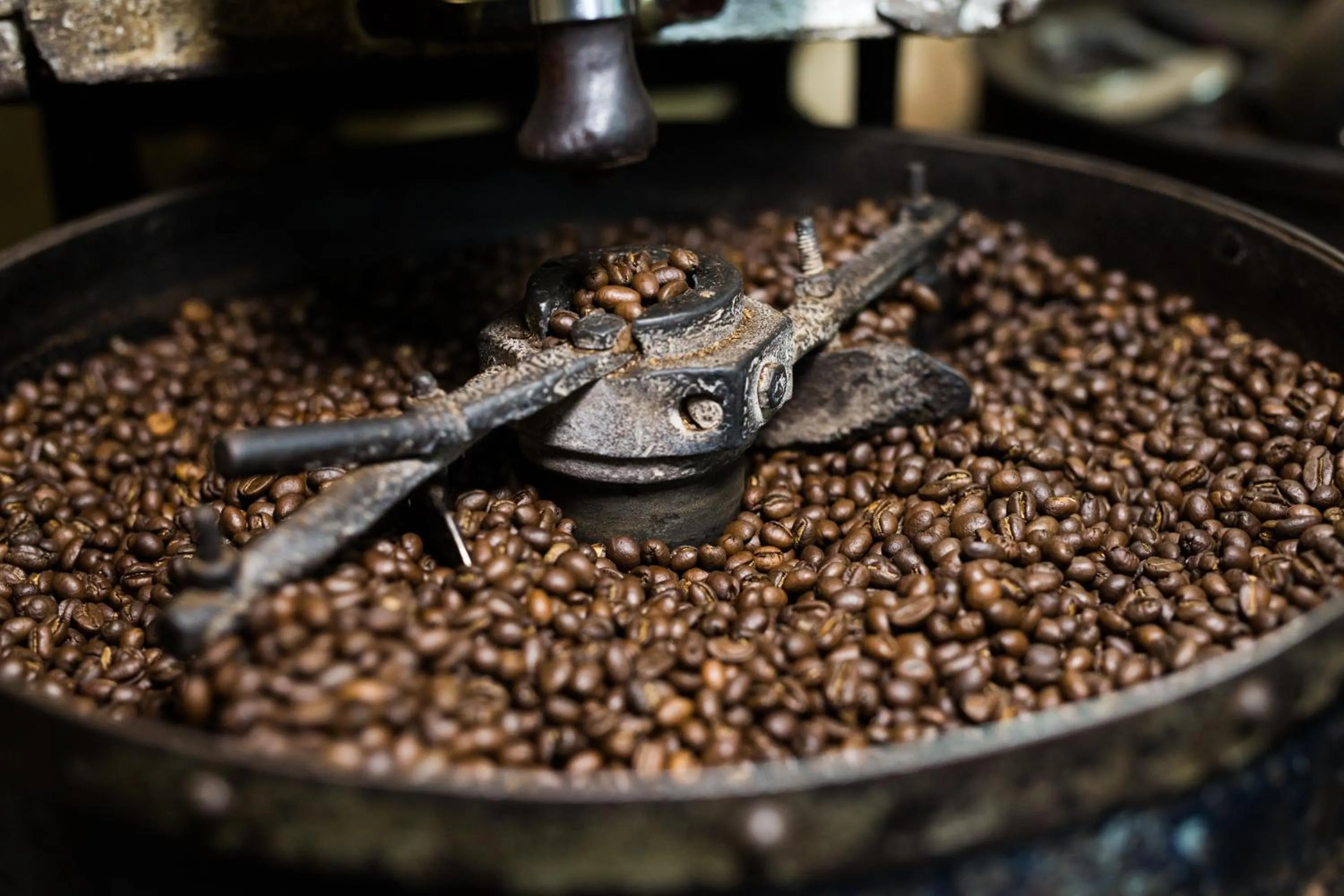 Activities in Mantra Koodam Kumbakonam - A CGH Earth Experience