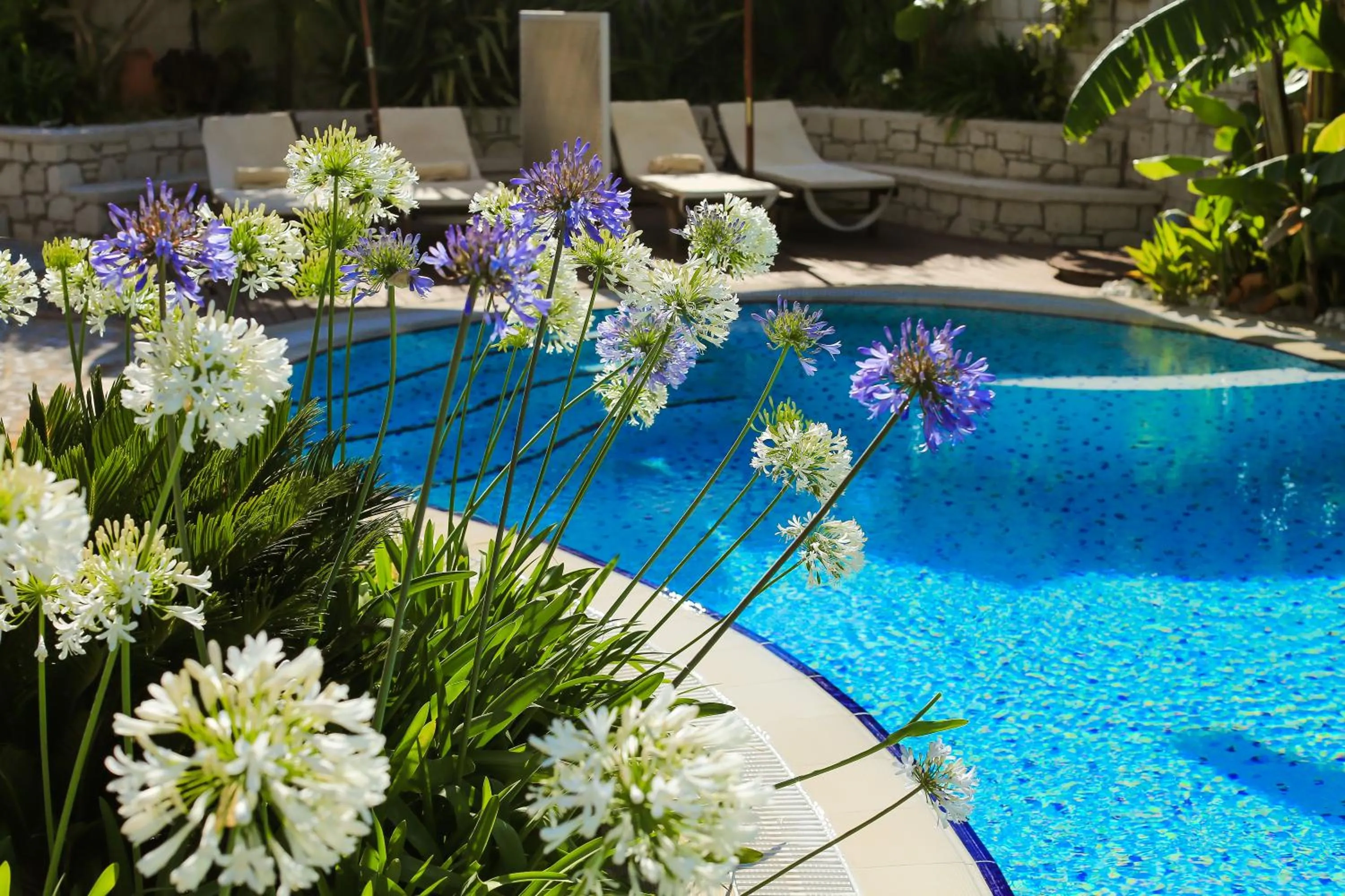 Pool view in Cumbali Konak Hotel (Adults Only +12)