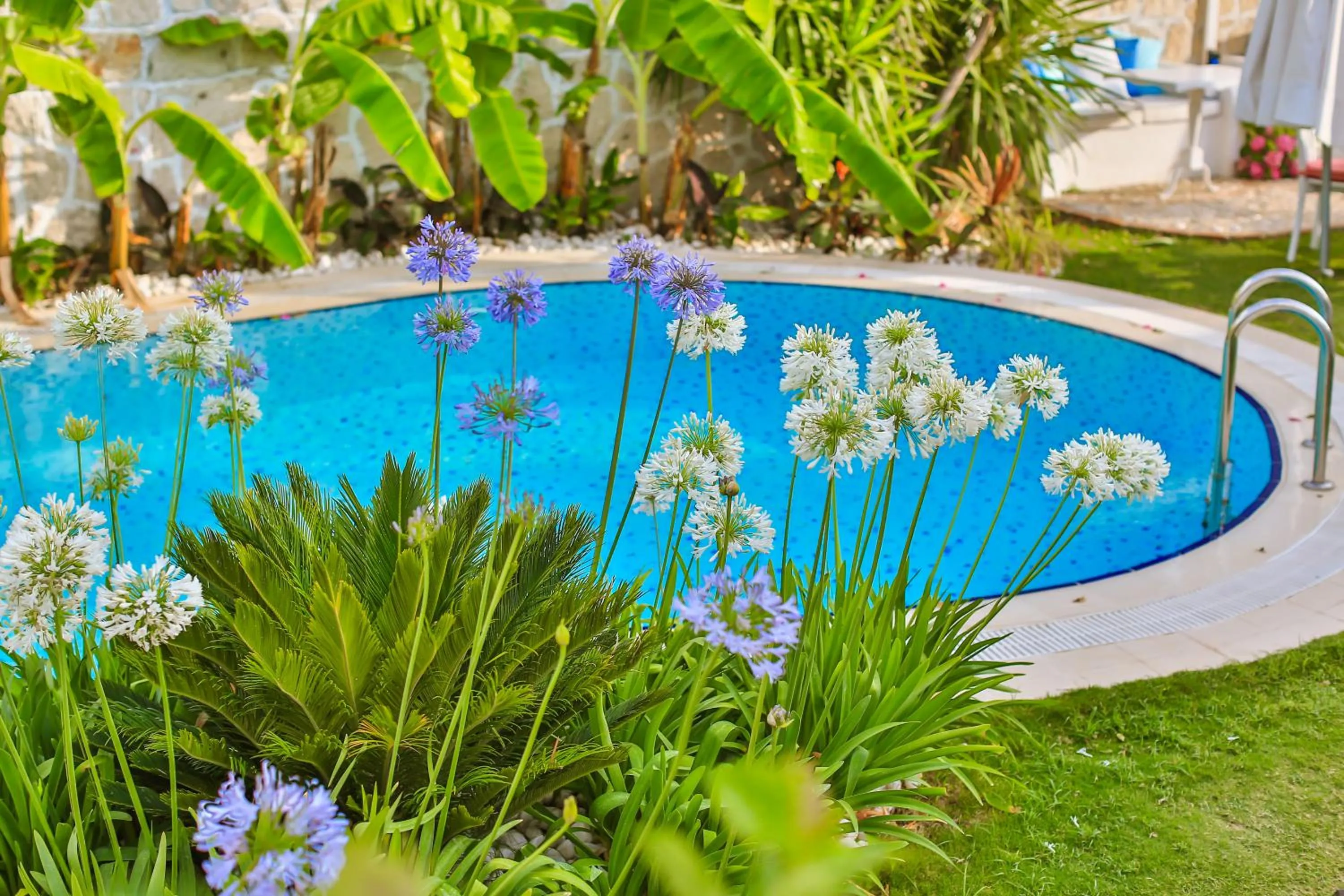 Pool view in Cumbali Konak Hotel (Adults Only +12)