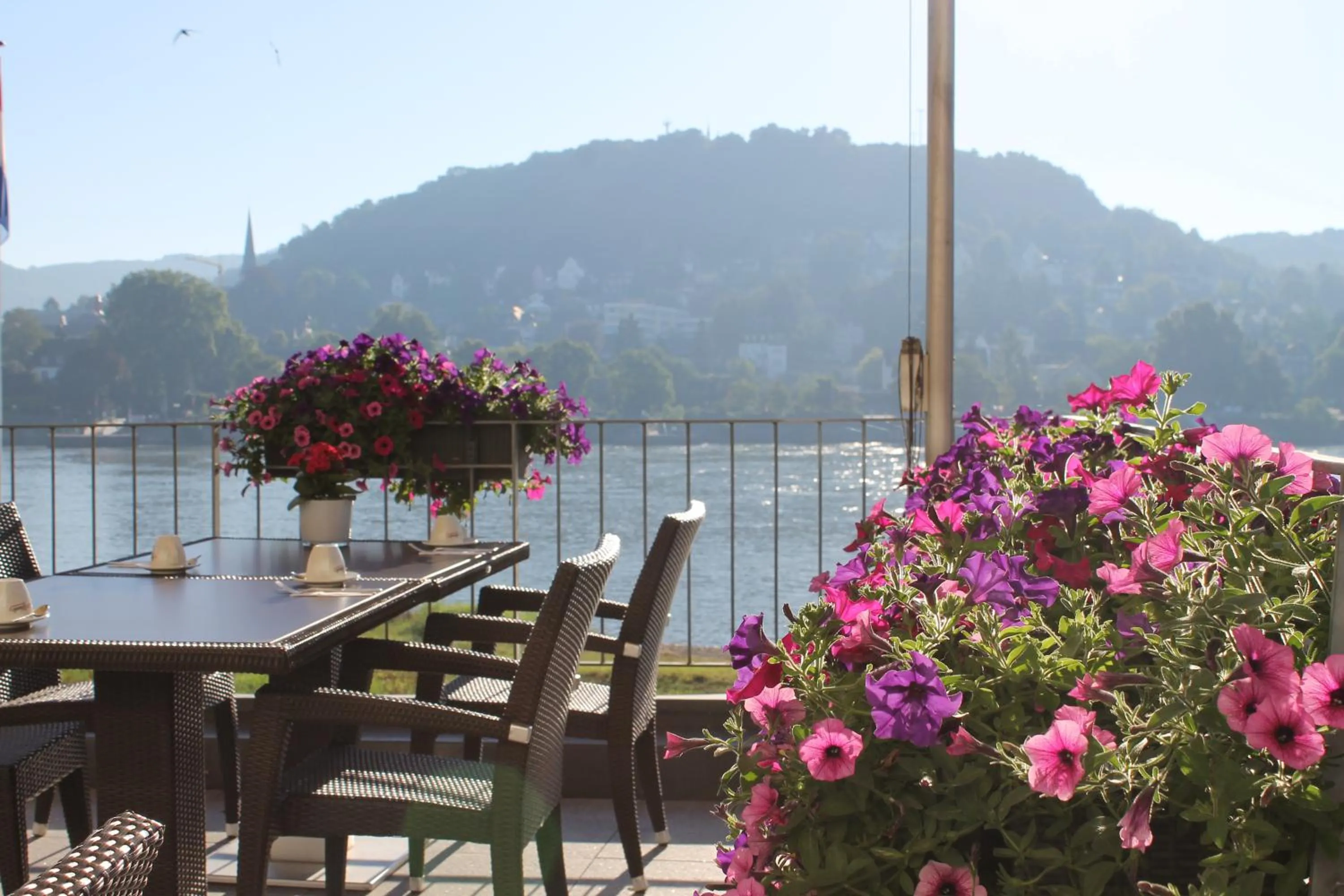 Restaurant/places to eat in RheinHotel ARTE