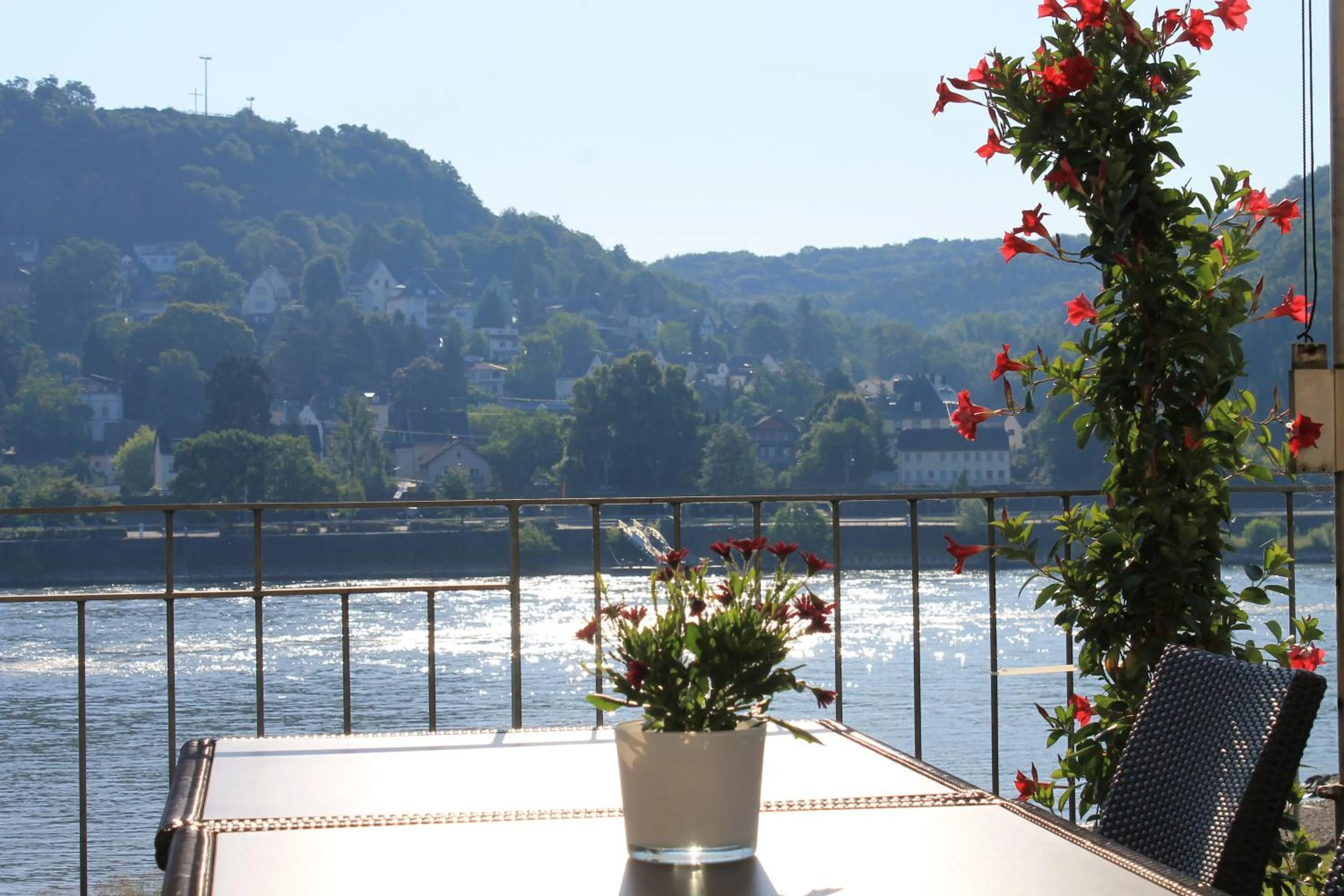River view in RheinHotel ARTE