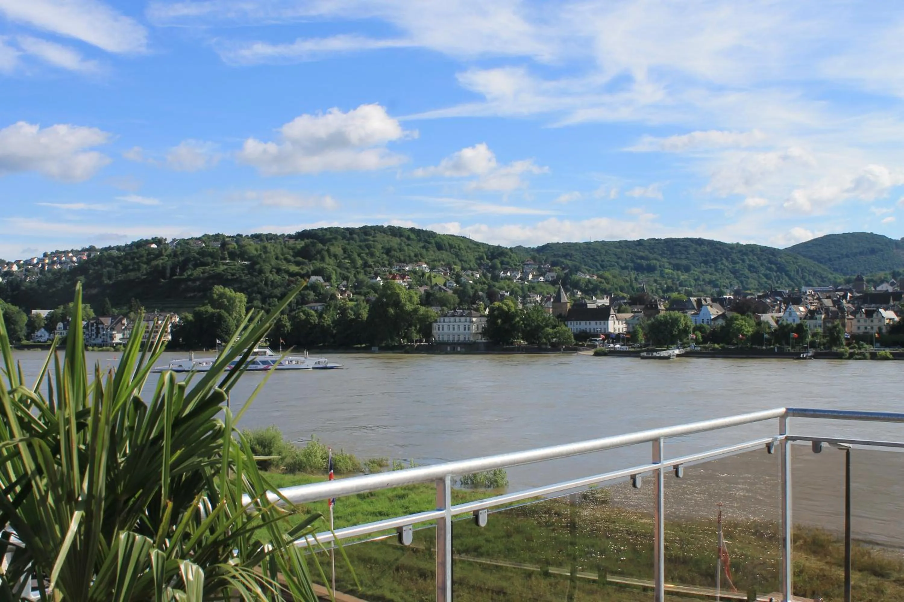 River view in RheinHotel ARTE